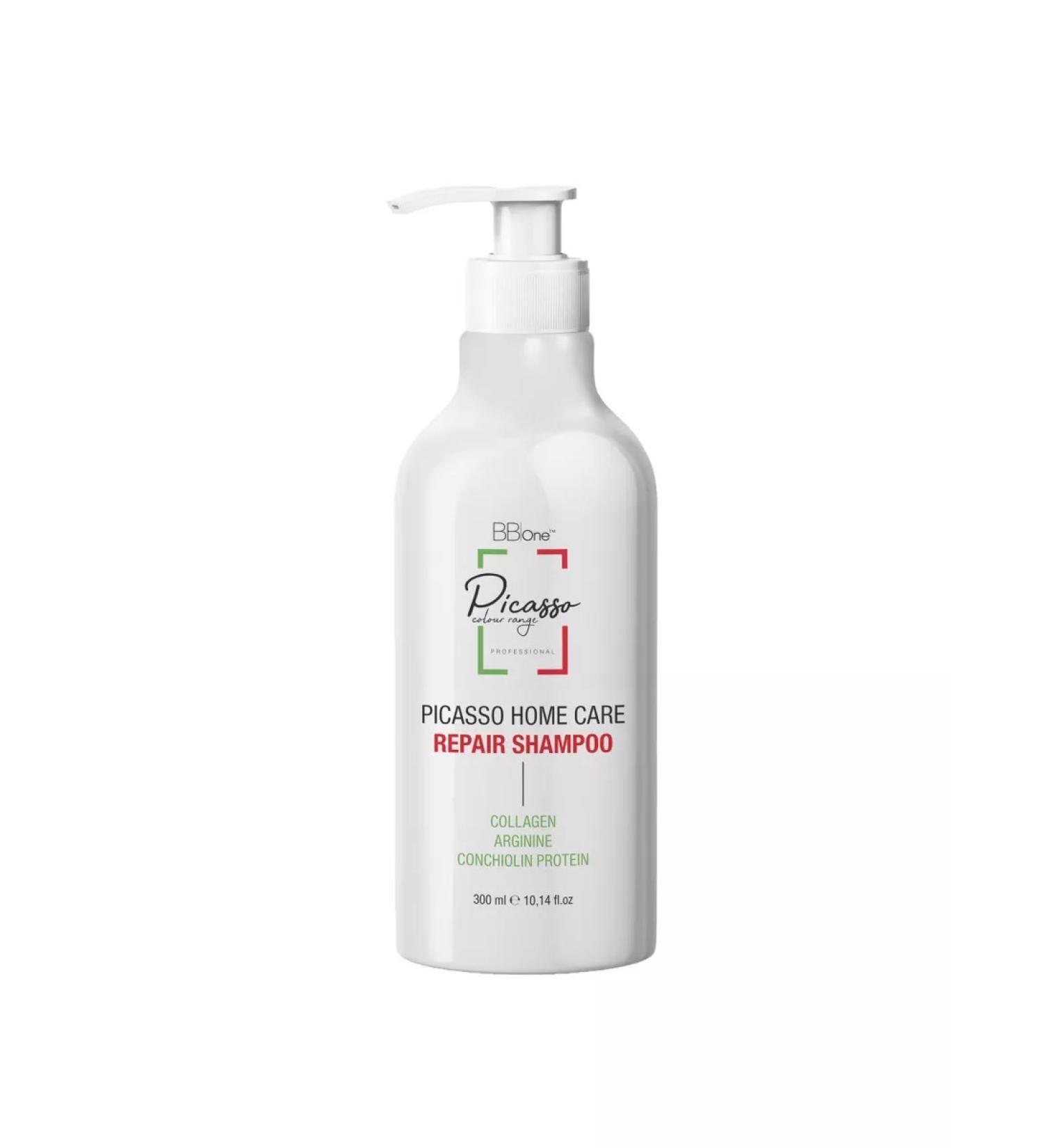 BB One Picasso Shampoo Picasso Home Care Repair Shampoo 300 ml - Buy Online on GoSupps.com