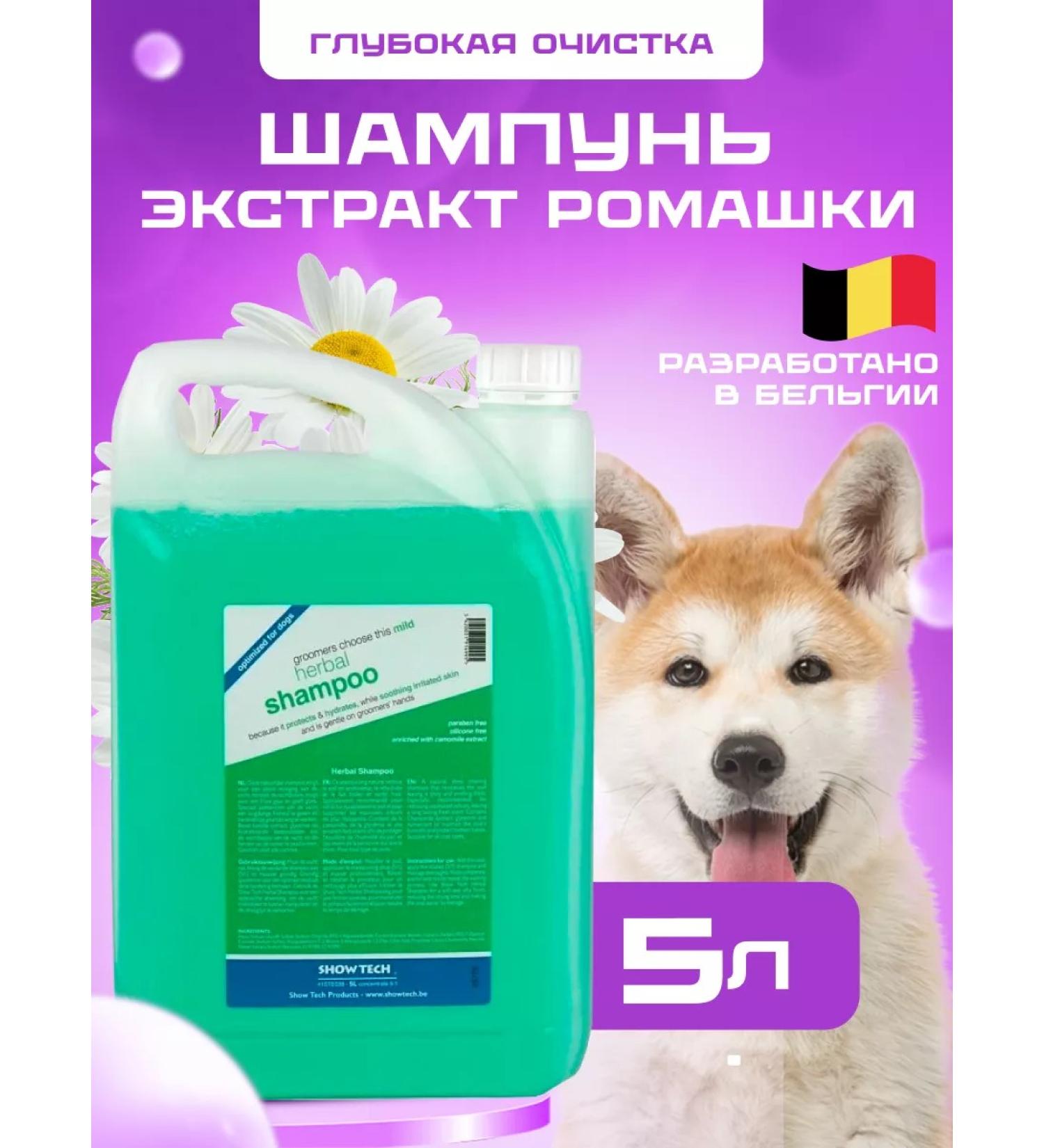 Show Tech Shampoo for dogs and cats with chamomile 5 liters - Buy Online on GoSupps.com