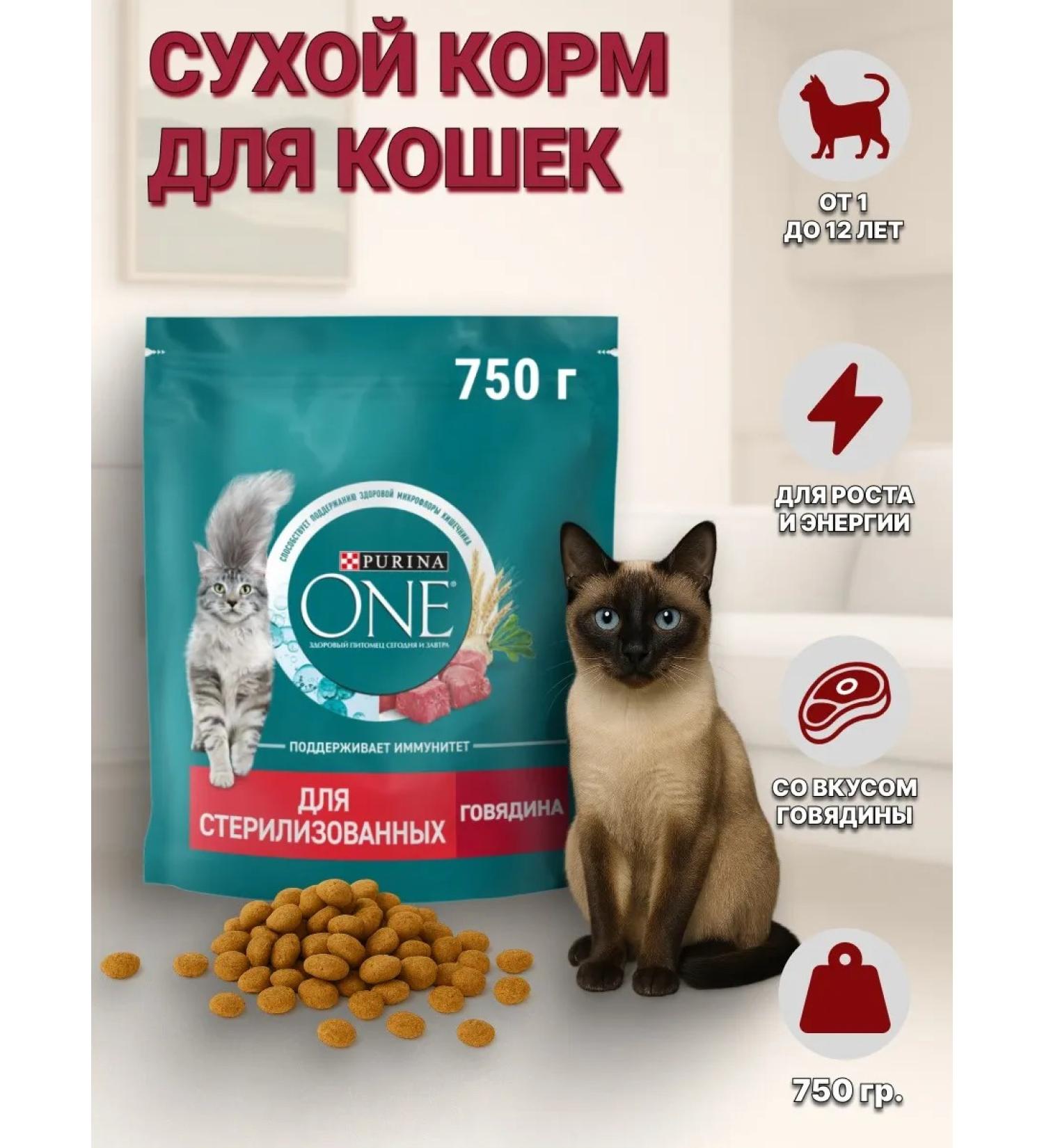 PURINA ONE Purin's dry food for sterilized cats of beef 750g - Buy Online on GoSupps.com