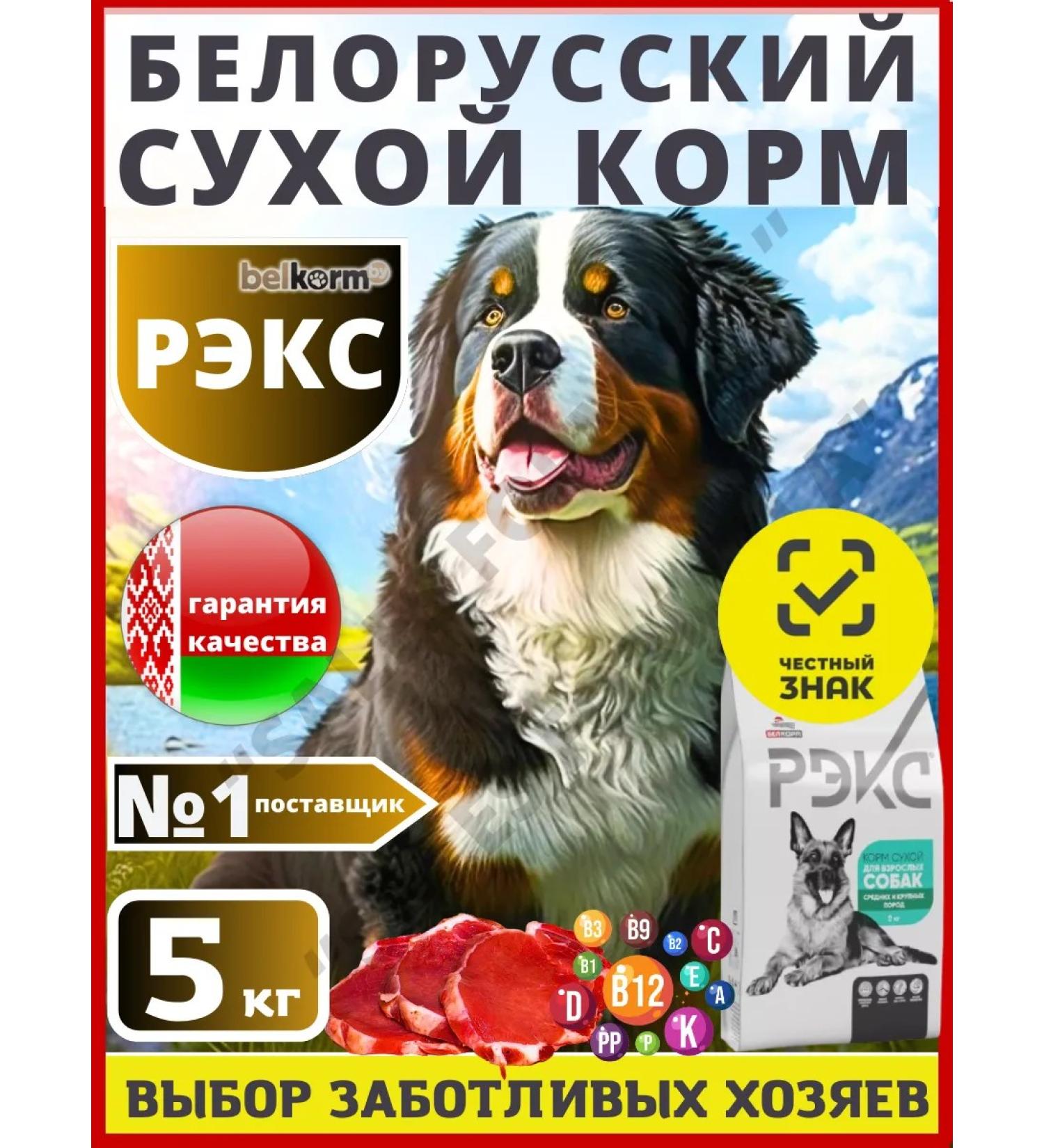 Belkorm Dry feed 5 kg Rax for dogs natural - Buy Online on GoSupps.com