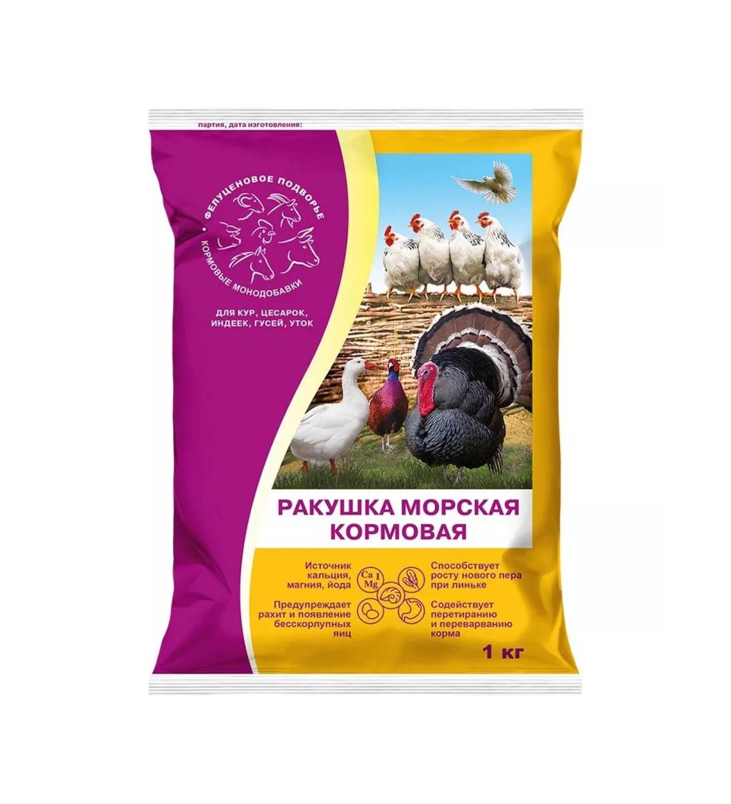 Felutsenovoe Podvorye A sea stern shell