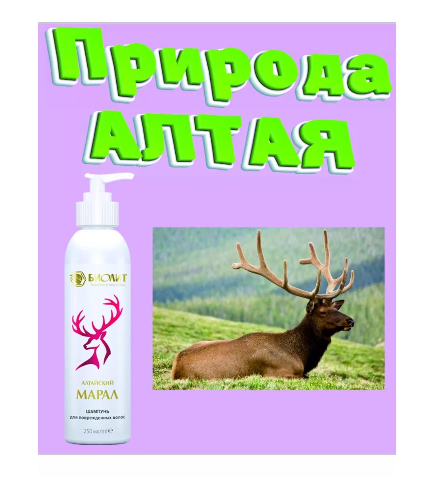 biolite Shampoo for damaged hair Altai Maral 250 ml - Buy Online on GoSupps.com