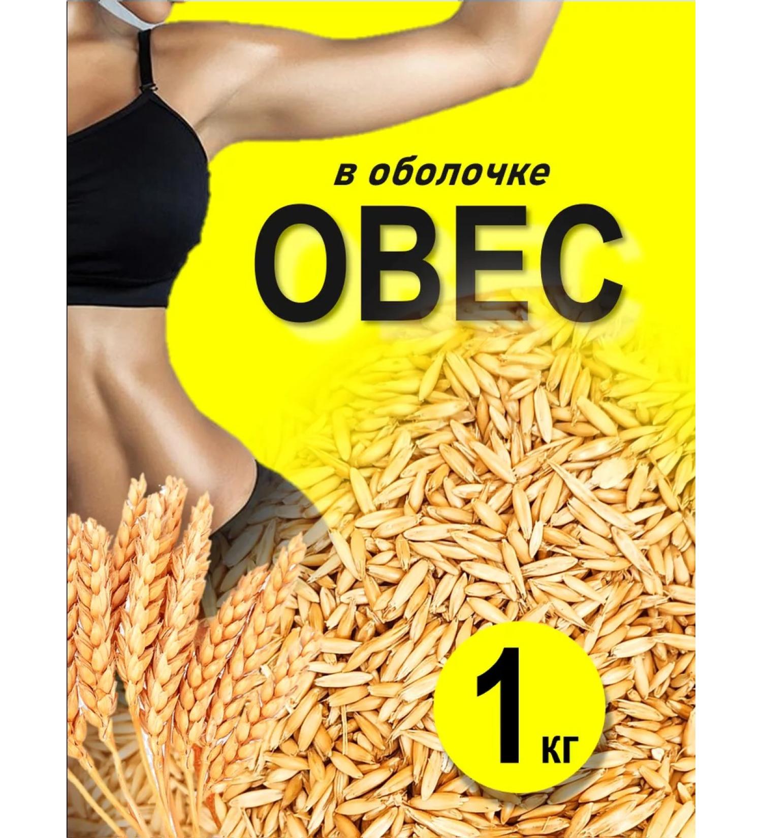 Living grain Therapeutic oats in the shell for brewing - Buy Online on GoSupps.com