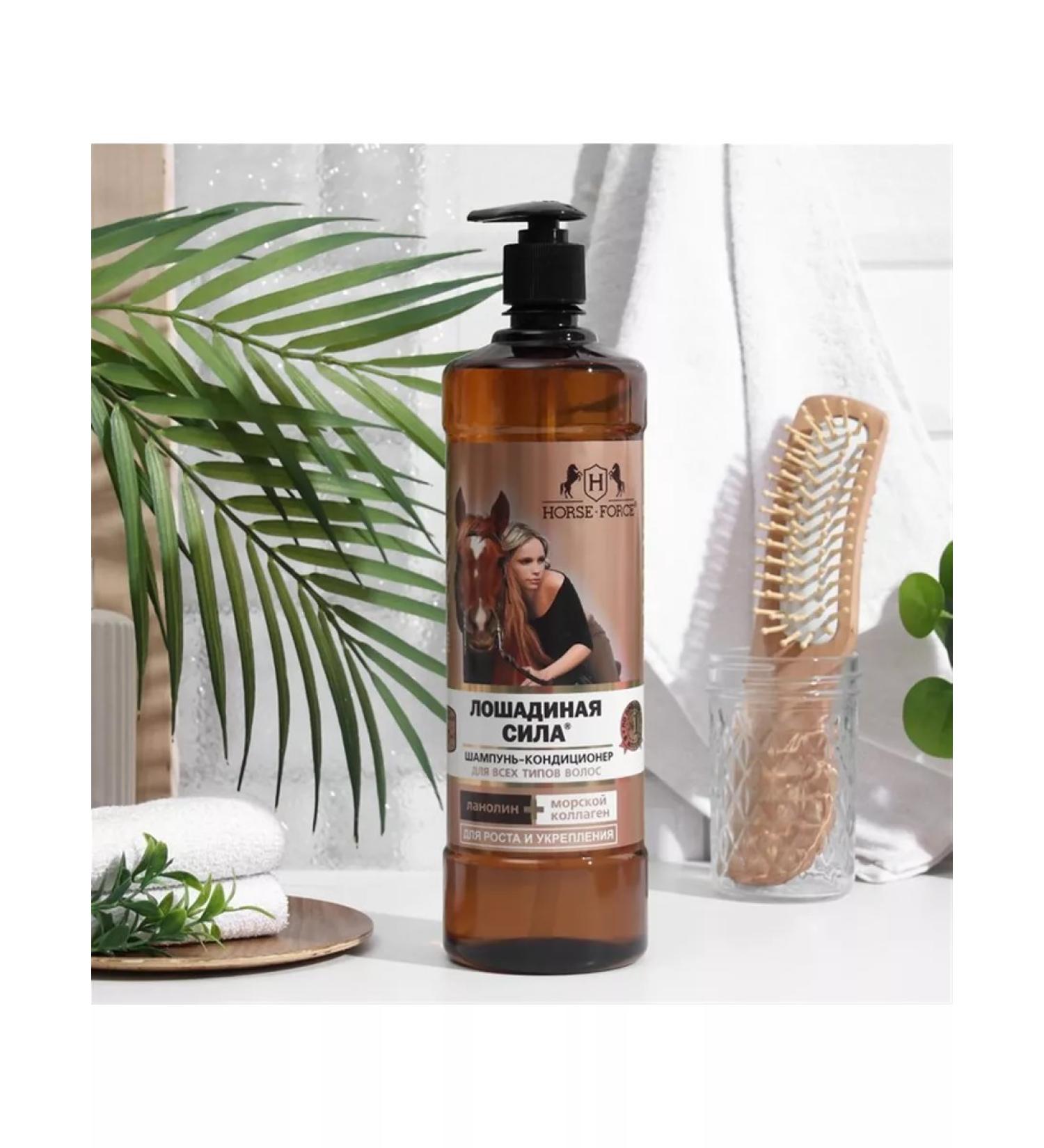 Sagity Container shampoo horse force for recovery