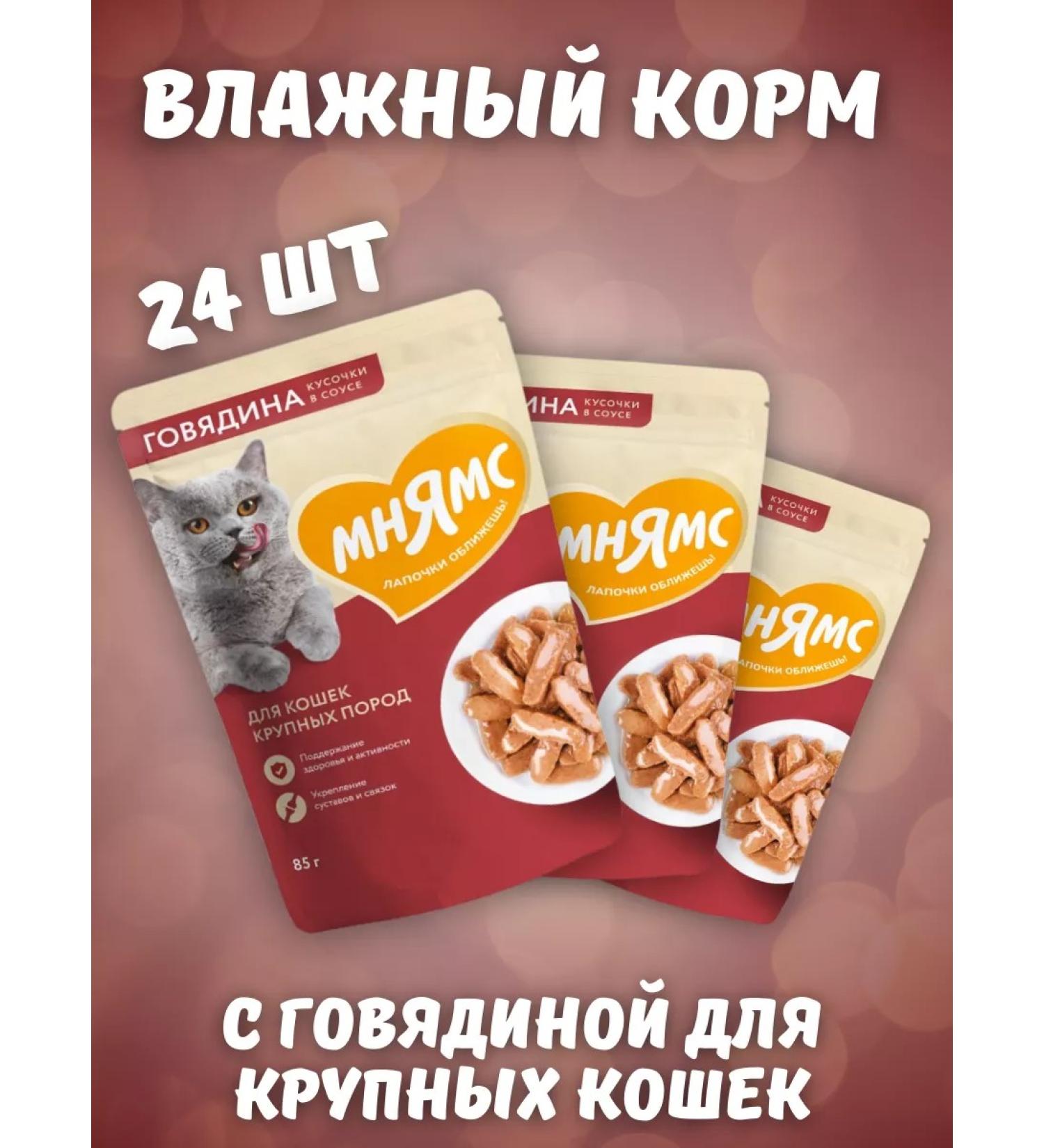 Mnyams Wet feed pieces in a sauce with beef 85 g 24pcs