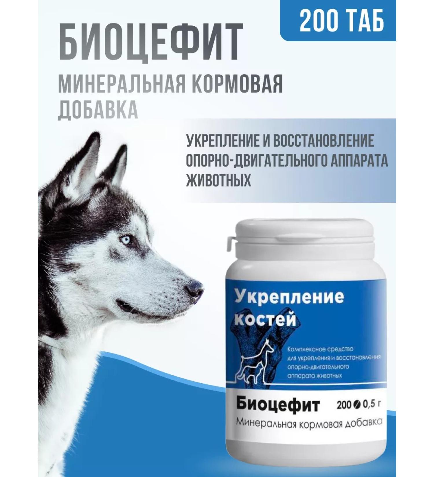 Biocenter CHIN Biocephite means to strengthen cartilage and joints - Buy Online on GoSupps.com