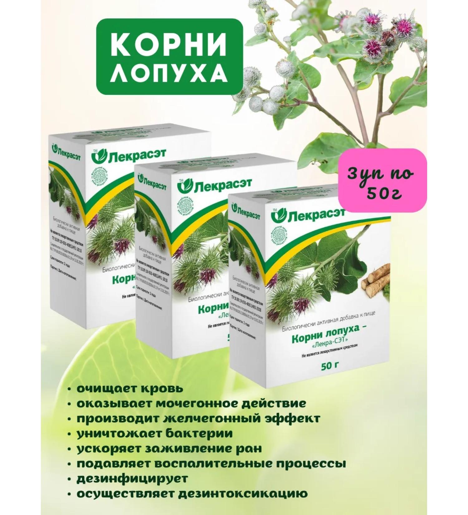 LEKRA-SET Burdock roots dried chopped 3UP 50g - Buy Online on GoSupps.com