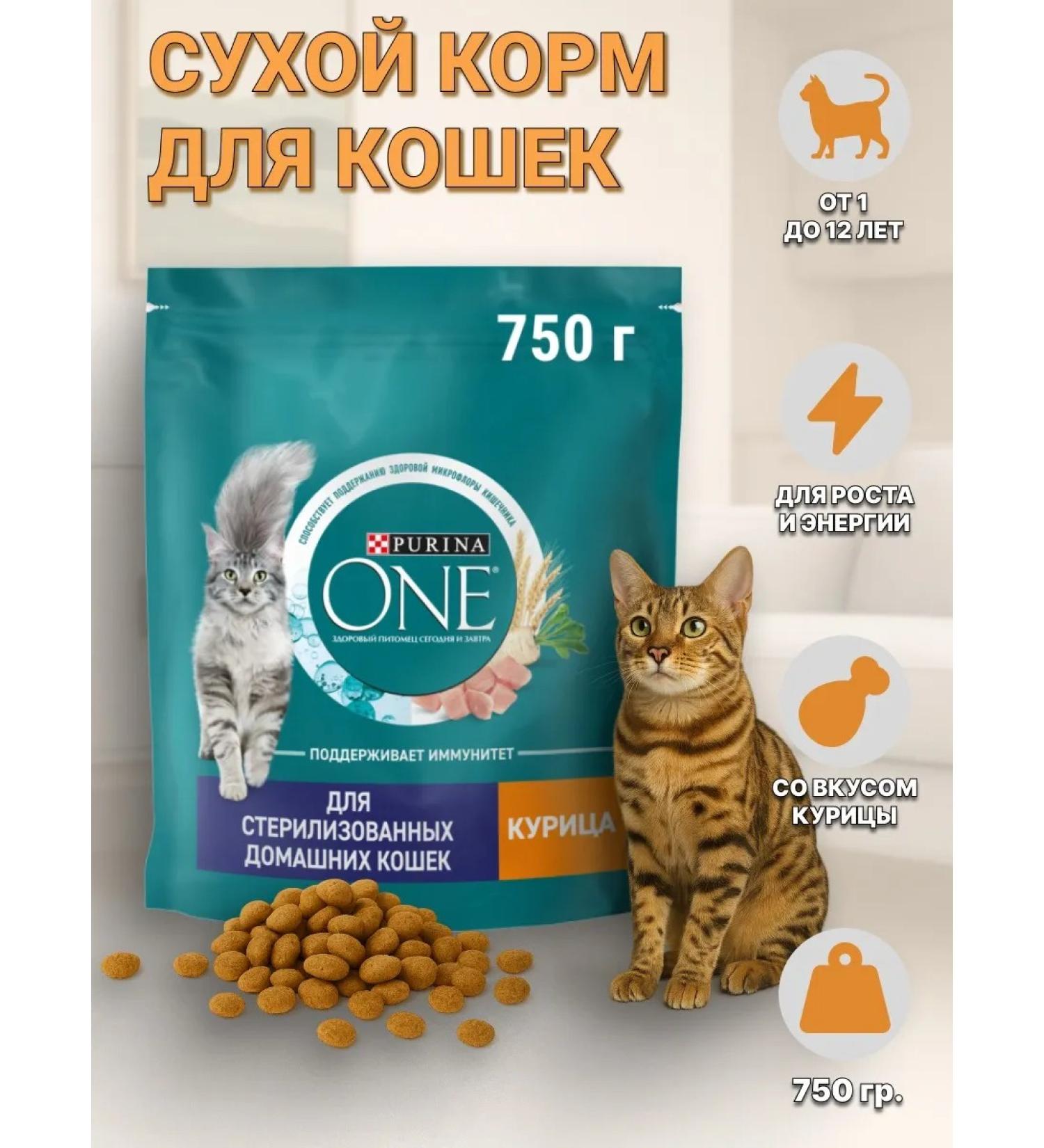 PURINA ONE Dry food of purin for sterilized cats chicken 750 grams - Buy Online on GoSupps.com