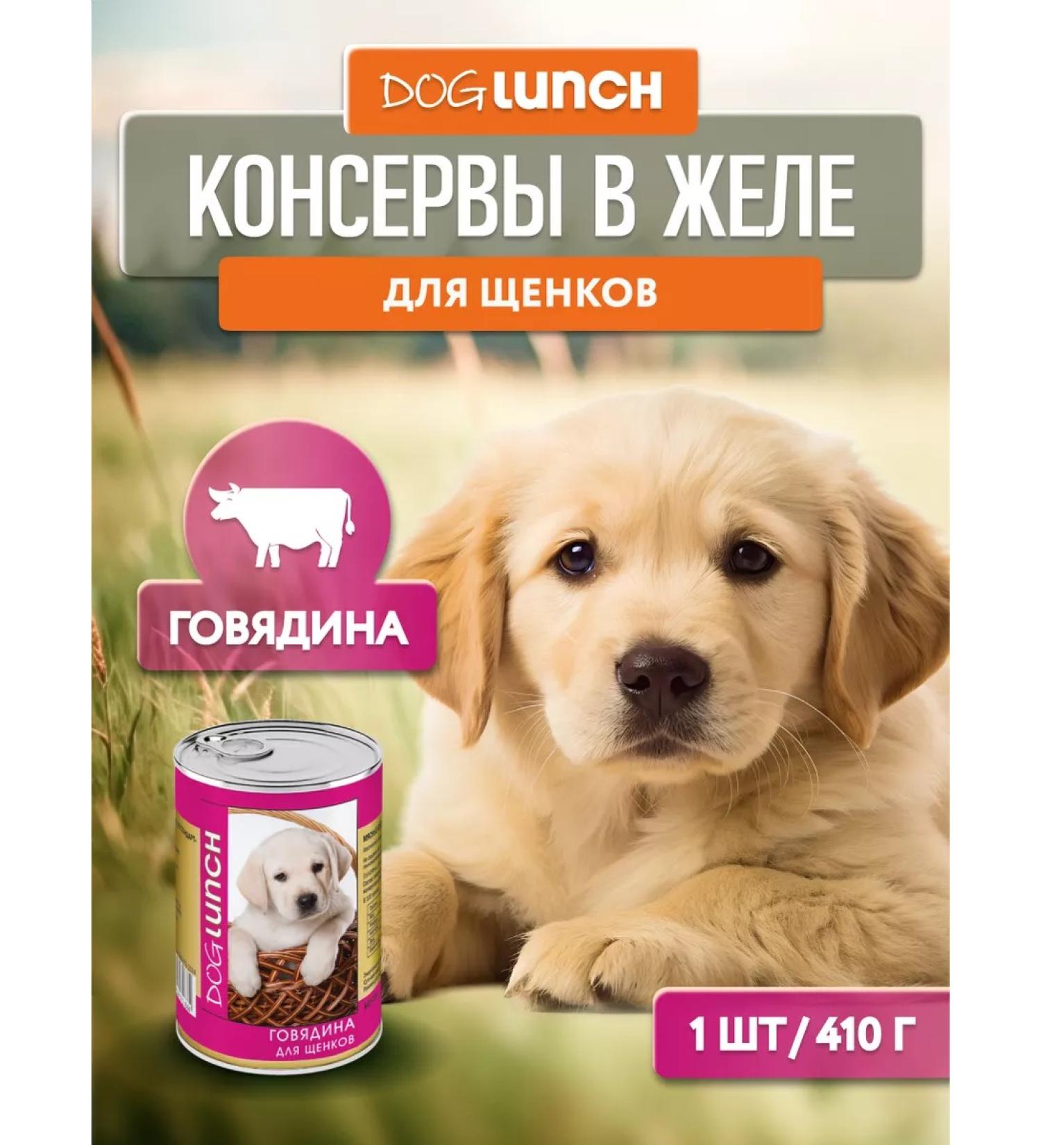 Dog Lunch Canned food for beef puppies in jelly 410g - Buy Online on GoSupps.com