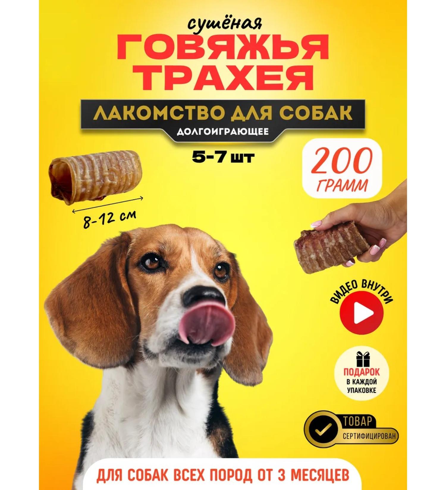 Hashtag Trachea of beef dried treat for dogs 200 grams - Buy Online on GoSupps.com