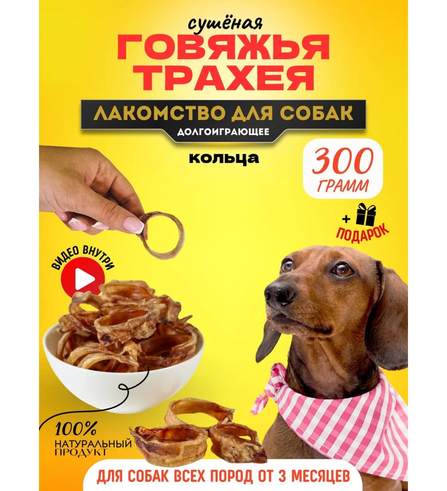 Hashtag Trache of beef ring a treat for dogs 300 gr. - Buy Online on GoSupps.com