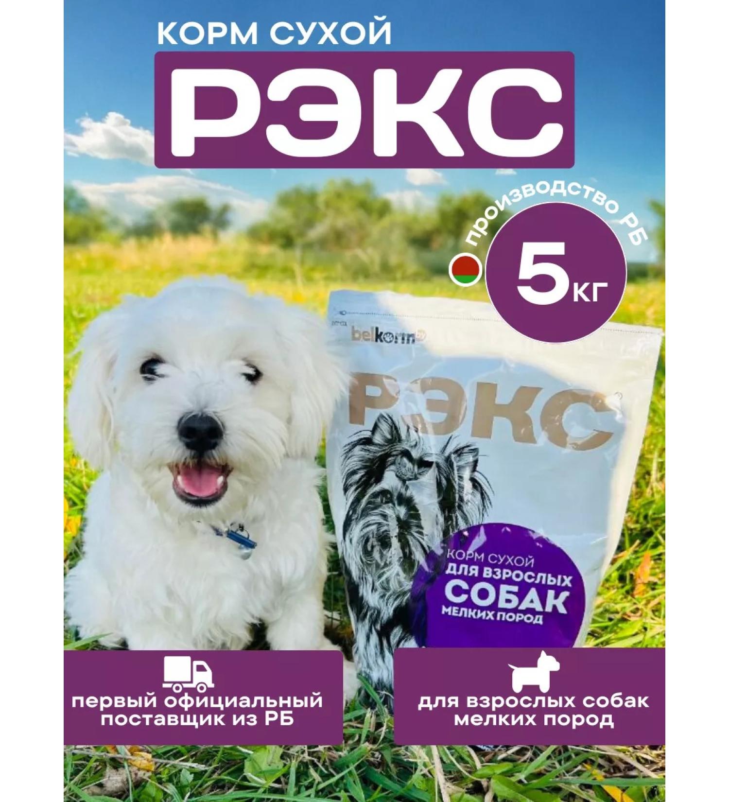 Belkorm Dry food for dogs of small reaches 5 kg - Buy Online on GoSupps.com