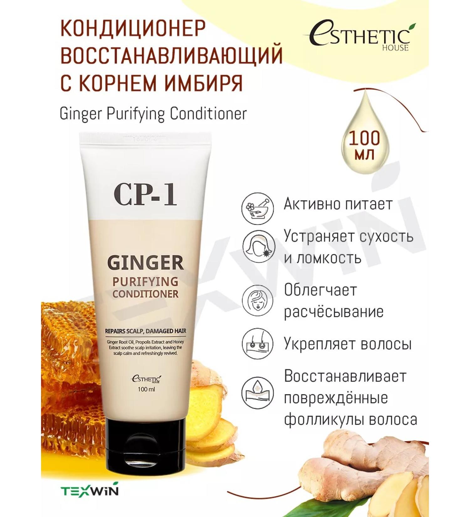 Aesthetic House Ginger Purification Conditioner 100 ml - Buy Online on GoSupps.com