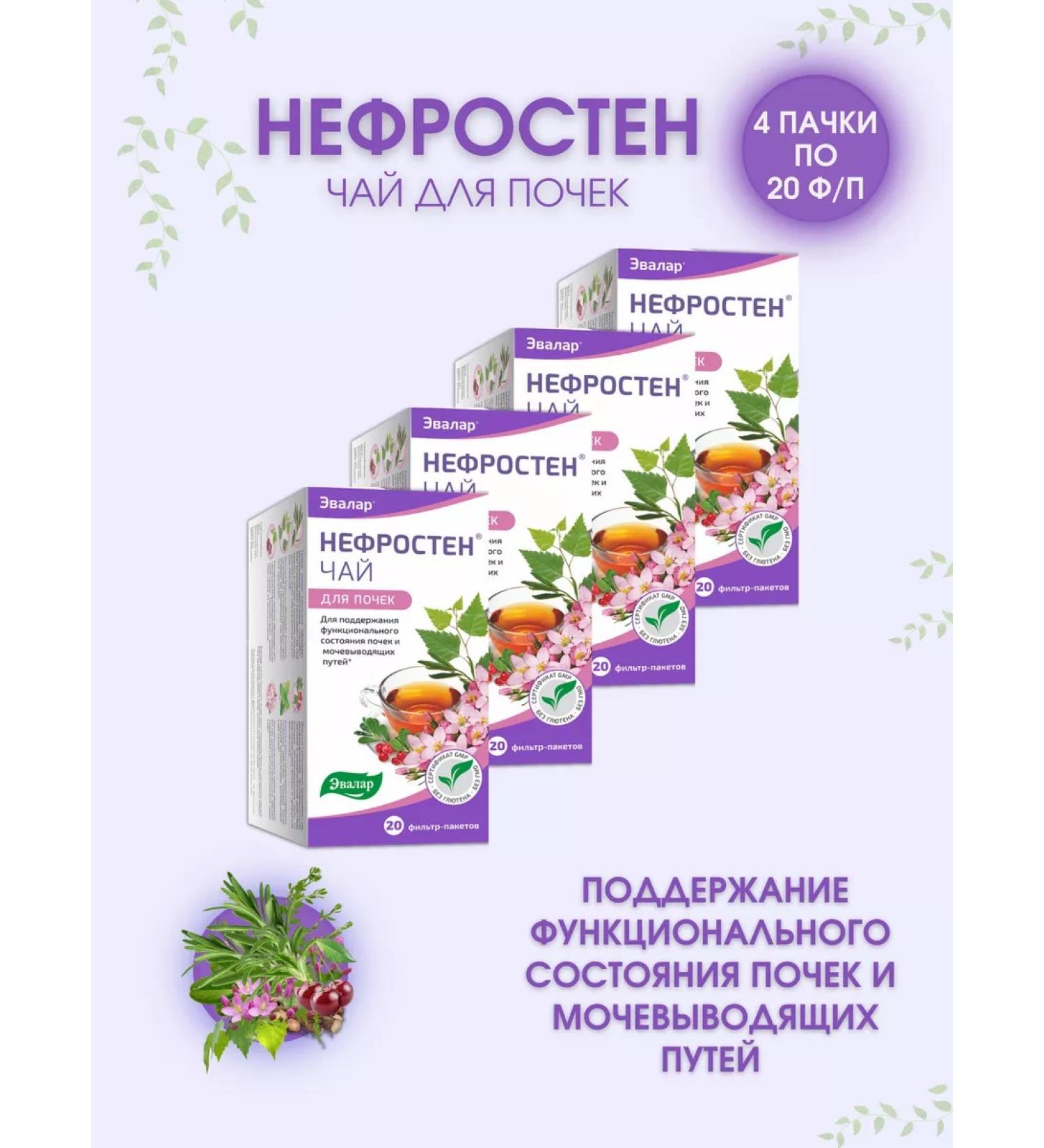 Evalar kidney tea nephrosten 20 filter packages - Buy Online on GoSupps.com