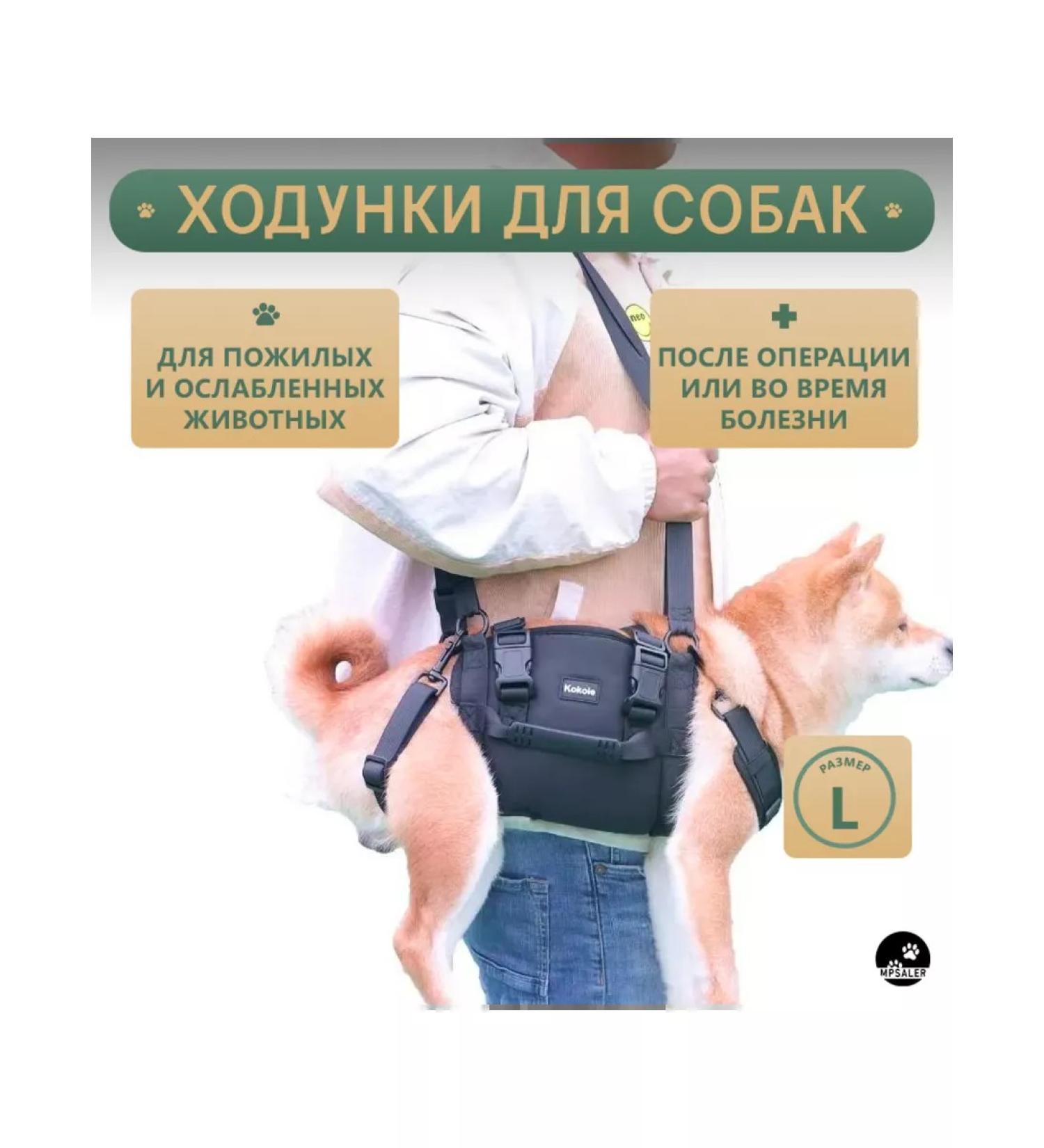 MPSALER Walks for dogs. L. - Buy Online on GoSupps.com