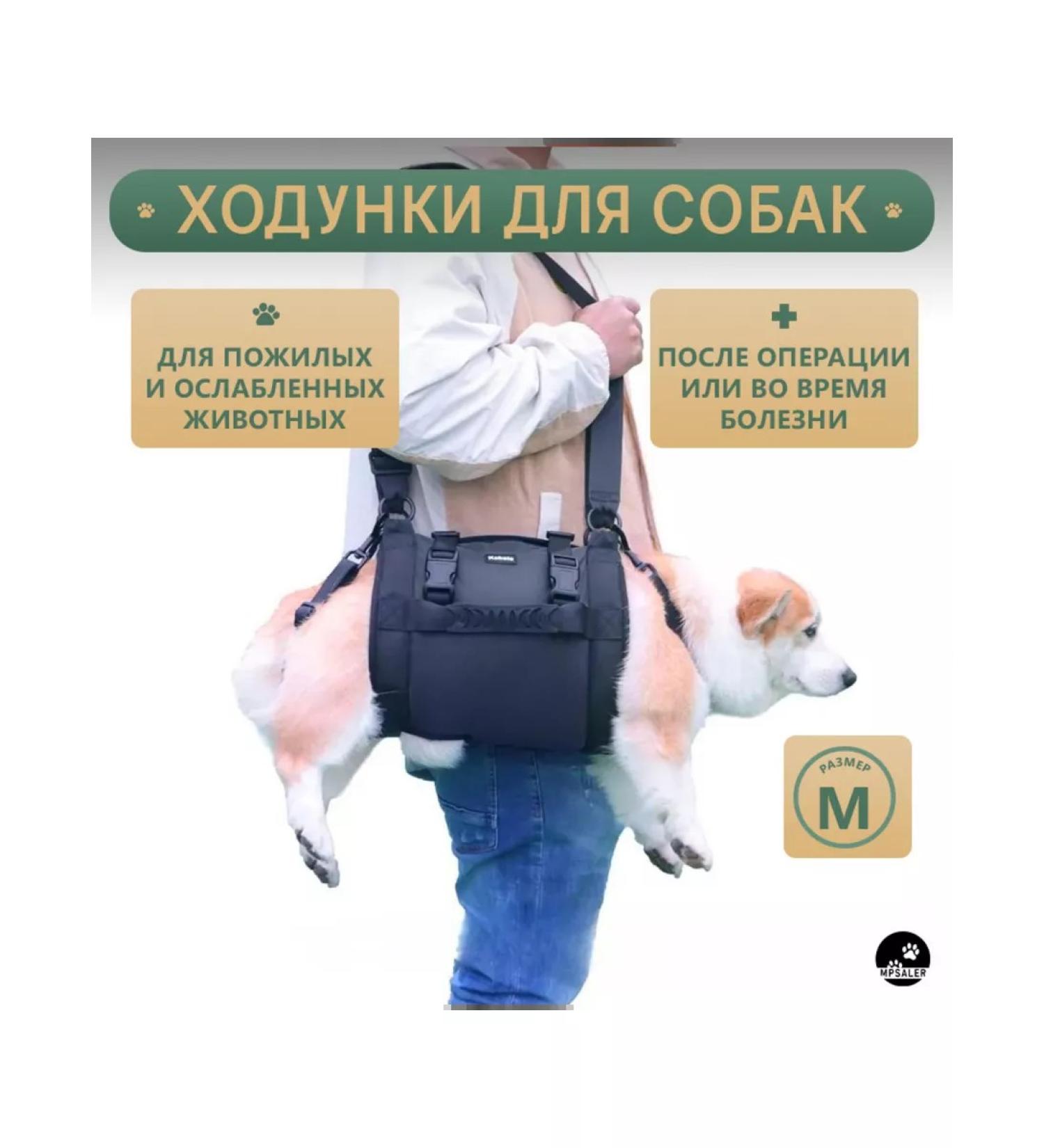 MPSALER Walks for dogs. M - Buy Online on GoSupps.com
