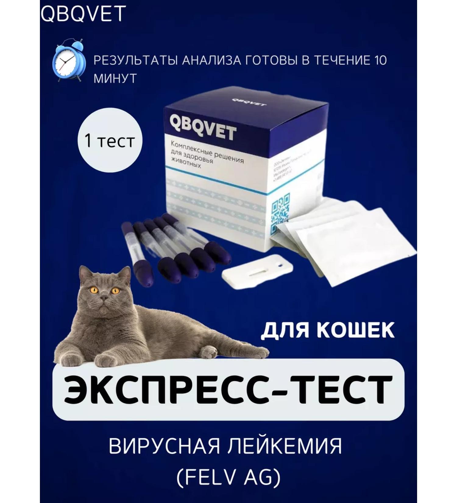 QBQVet Express test viral leukemia - Buy Online on GoSupps.com