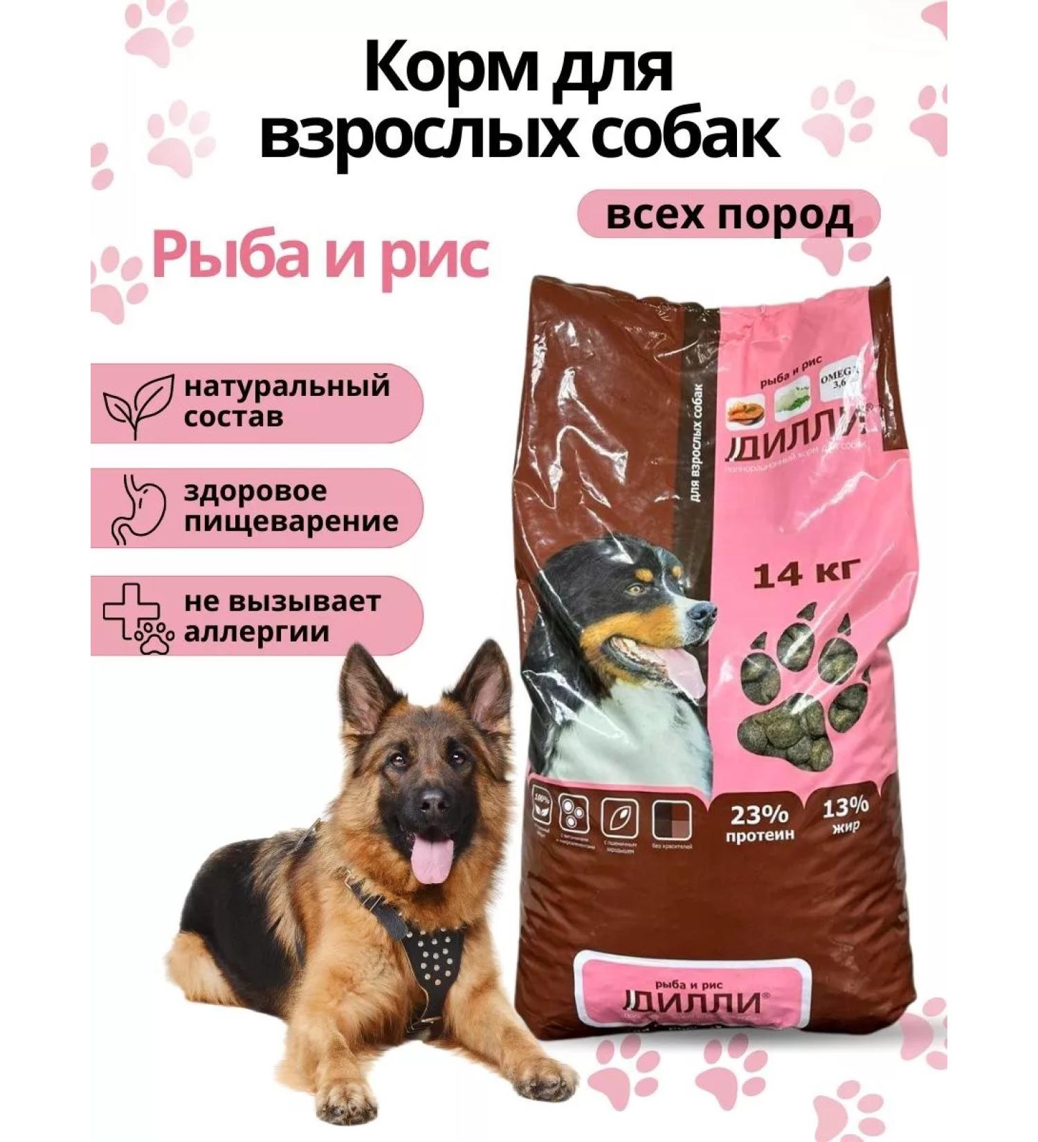 DILLY Dry food for dogs of all rocks full -time fish and rice - Buy Online on GoSupps.com