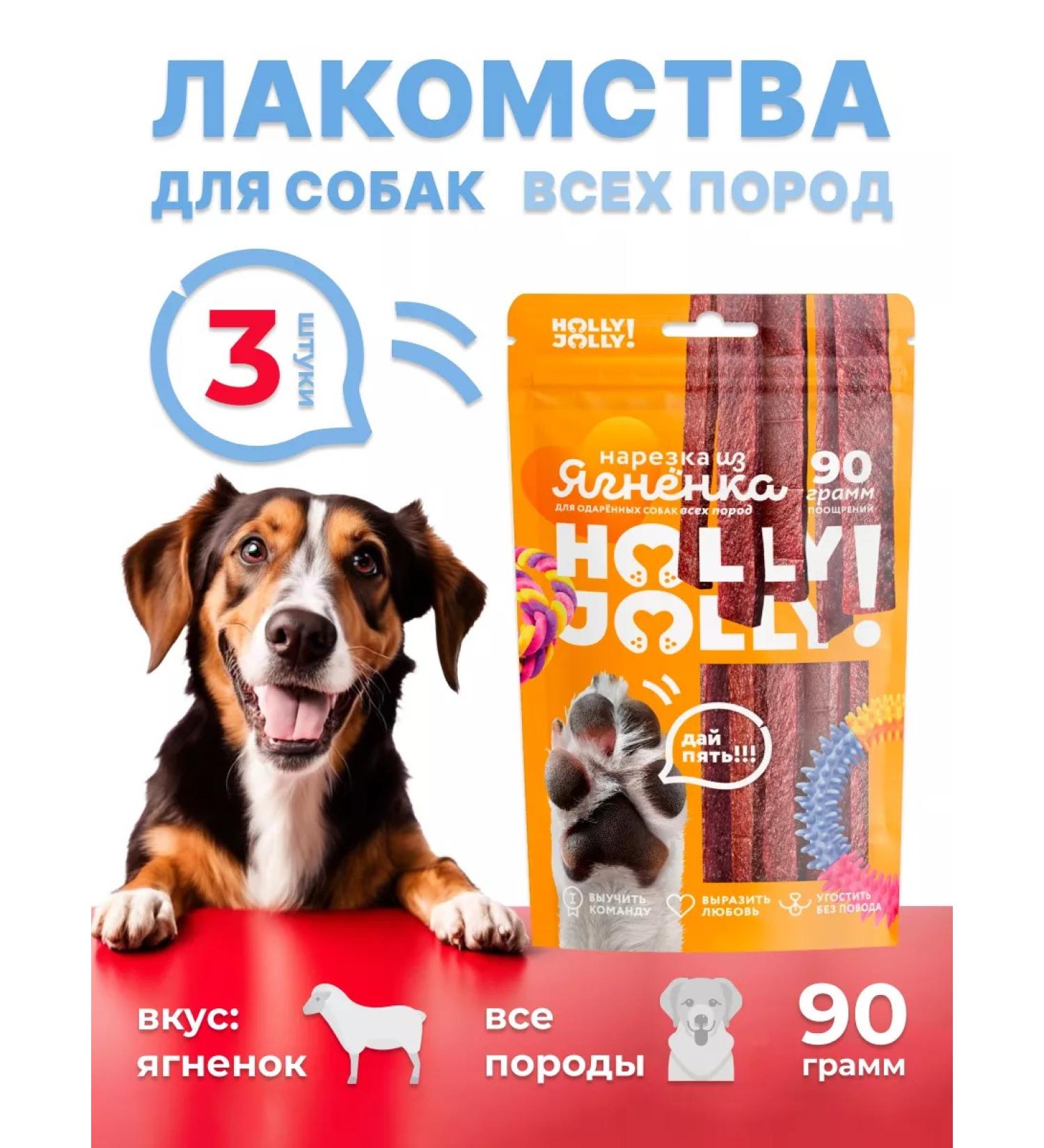 Holly Jolly Treats for dogs cutting 90g*3pcs - Buy Online on GoSupps.com