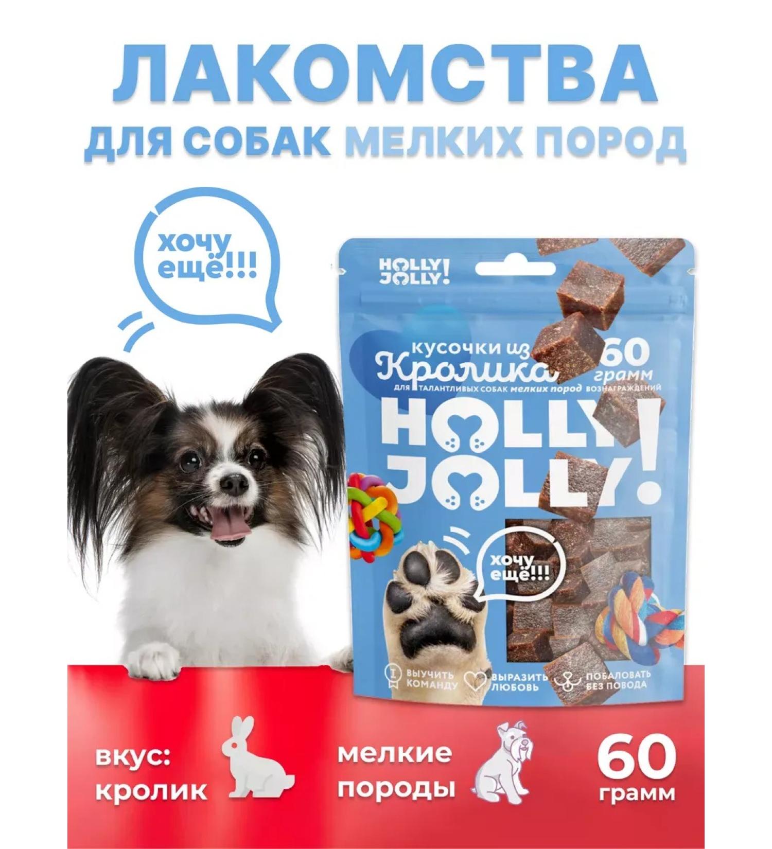 Holly Jolly Goodies for small dogs pieces 60g*3pcs - Buy Online on GoSupps.com