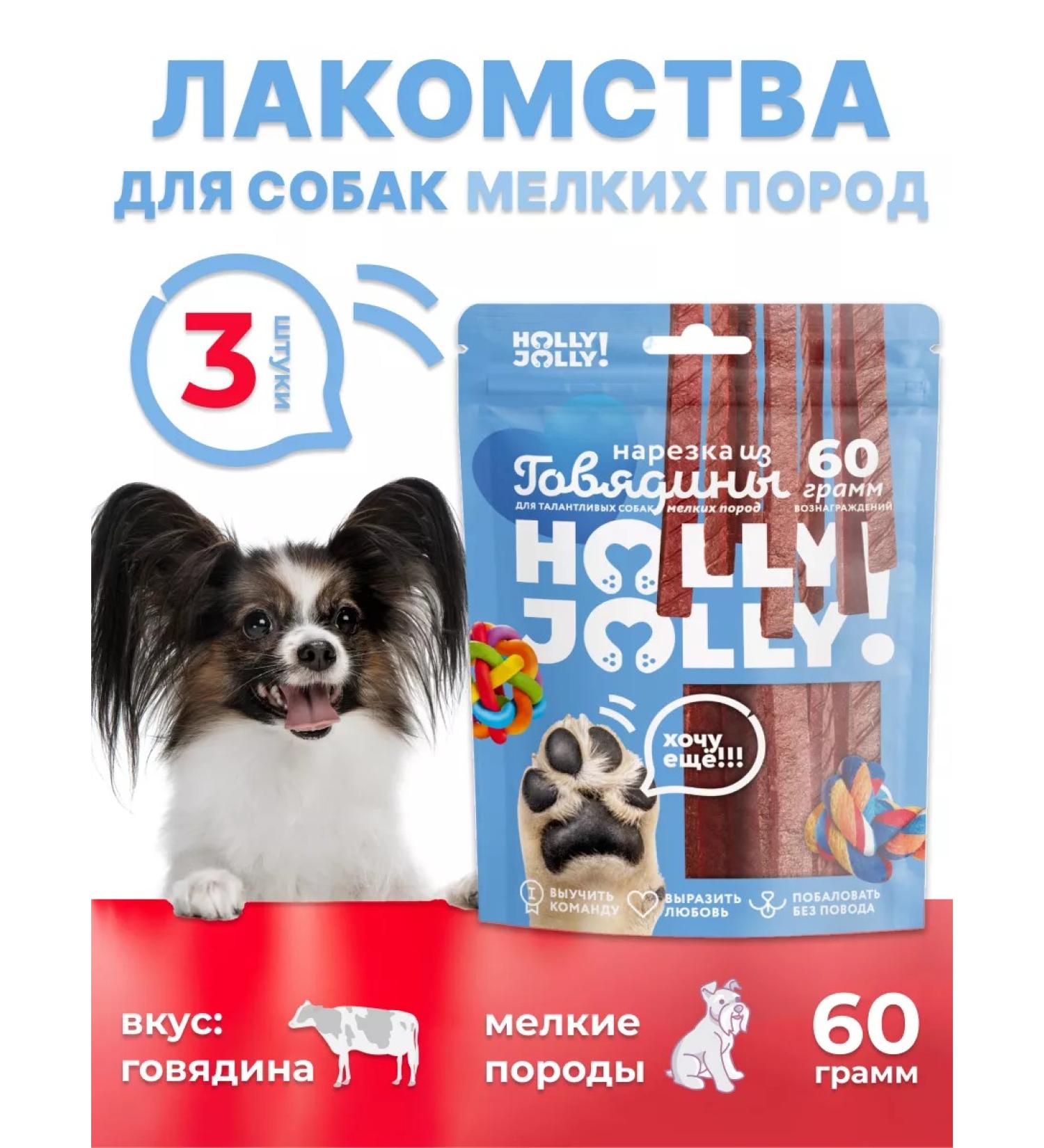 Holly Jolly Dog delicacies cutting 60g*3pcs - Buy Online on GoSupps.com