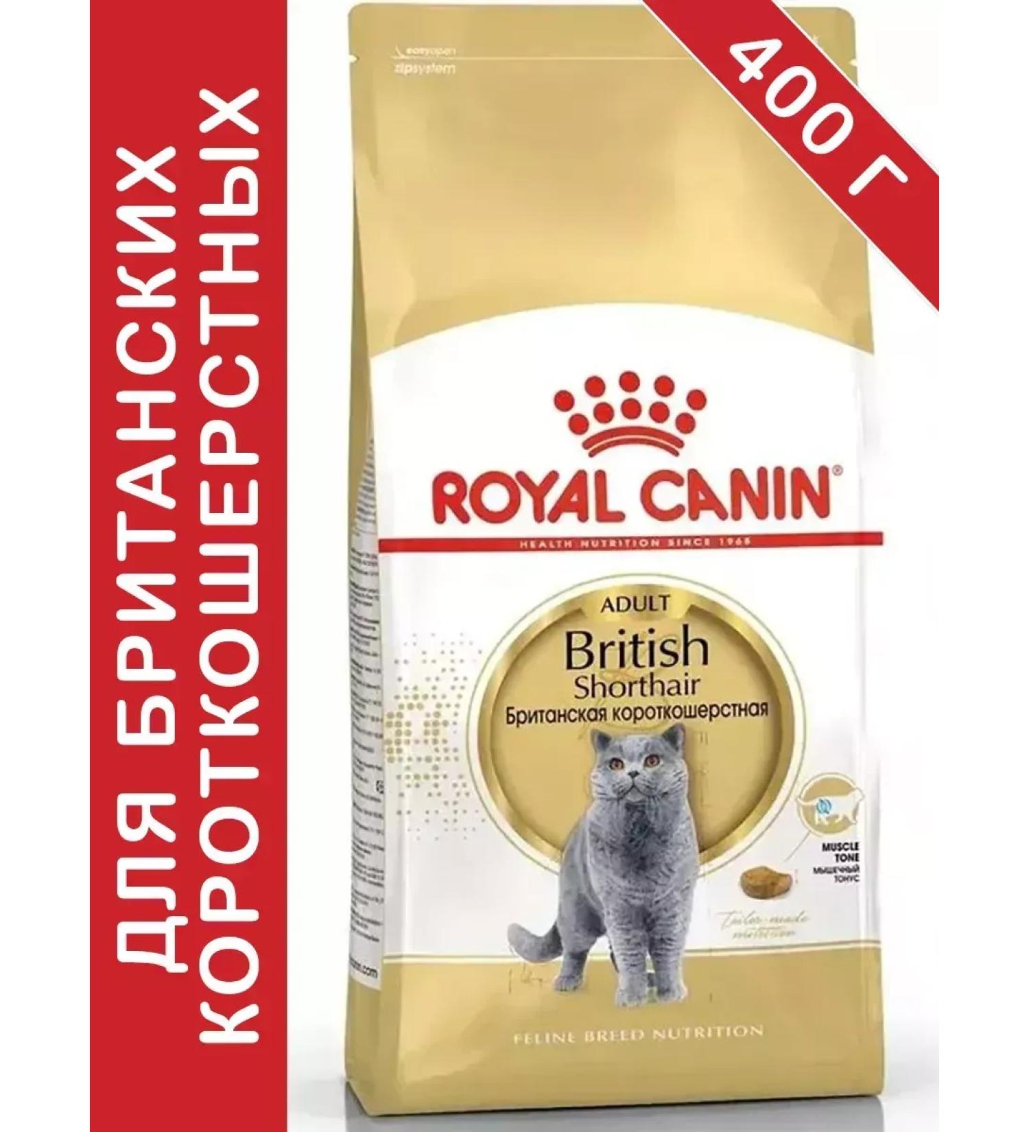 ROYAL CANIN British shorthair adult for cats 400 grams British - Buy Online on GoSupps.com