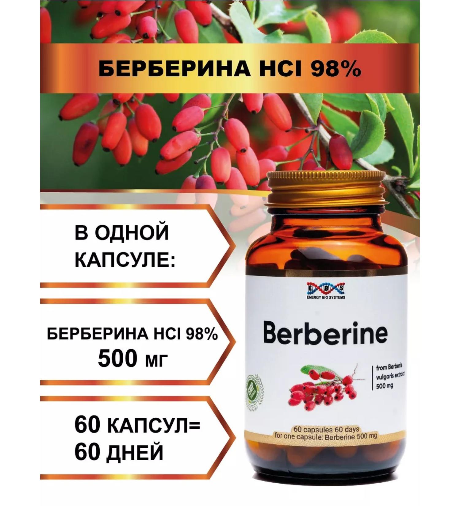 Energy Bio Systems Berberin 500 mg 60 weight loss capsules - Buy Online on GoSupps.com