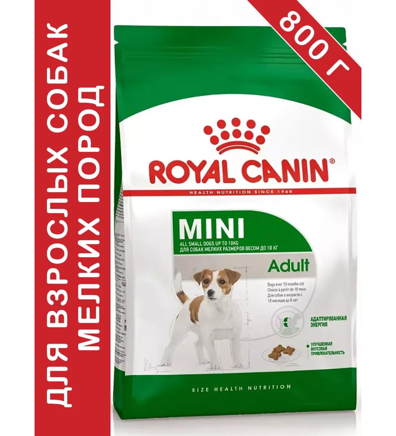 ROYAL CANIN Mini adult for dogs 800 grams - Buy Online on GoSupps.com