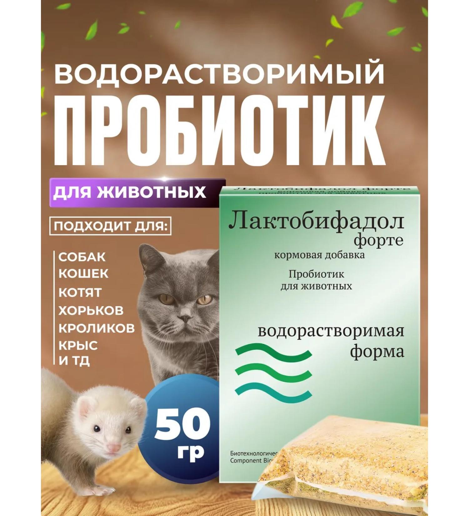 wikiVET Lactobifel Probiotic with vitamins for dogs and cats - Buy Online on GoSupps.com