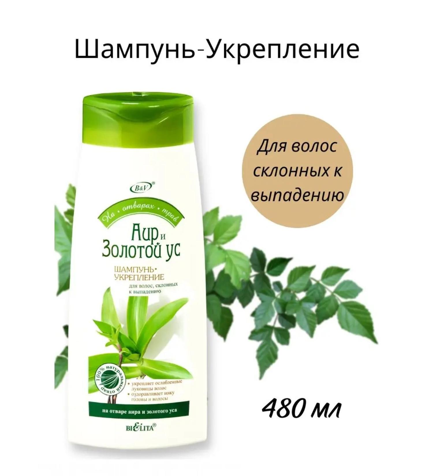 BIELITA Hair shampoo strengthening calamus and golden mustache - Buy Online on GoSupps.com