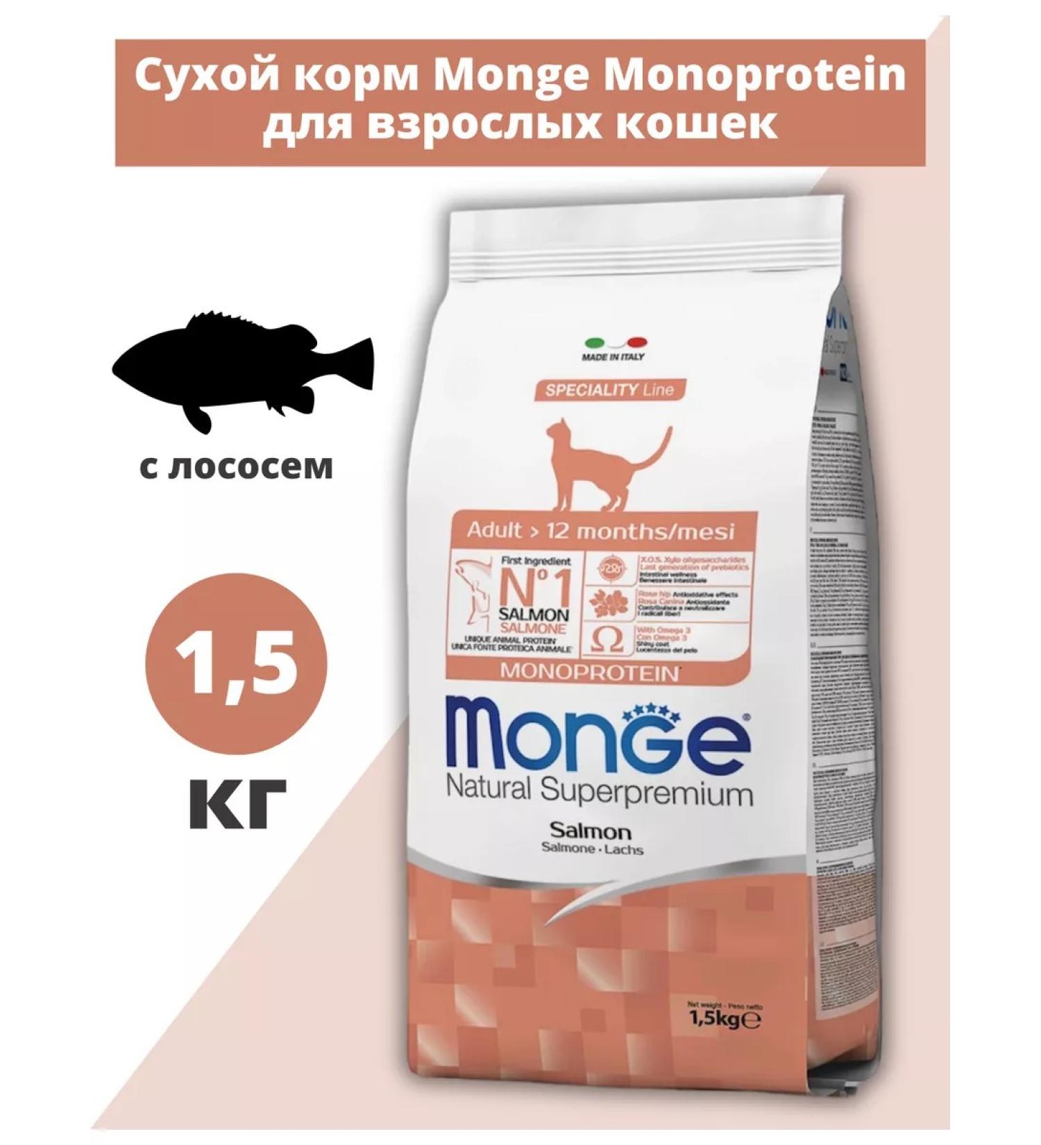 MONGE Dry food for adult cats with salmon 1.5 kg - Buy Online on GoSupps.com