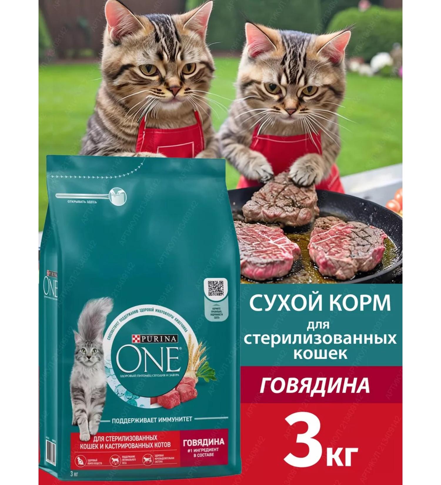 PURINA ONE Dry food for sterilized cats with beef 3 kg - Buy Online on GoSupps.com