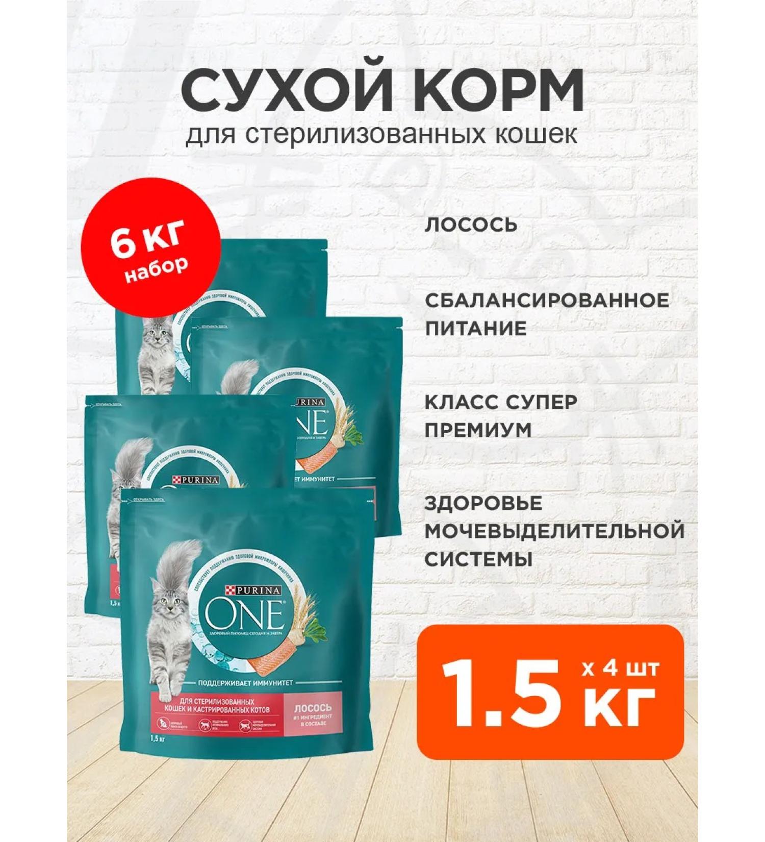 PURINA ONE Feeding dry sterilized cats salmon wheat wheat 1.5 kg 4 pcs - Buy Online on GoSupps.com