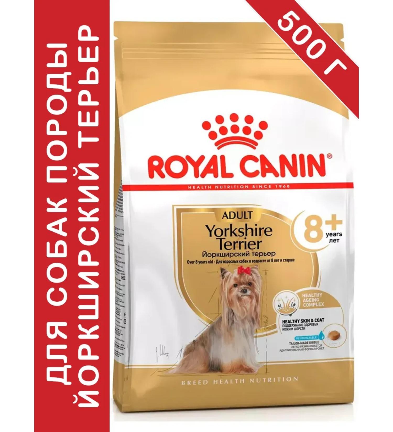 ROYAL CANIN Yorkshire Terrier 8+ for dogs 500 gr - Buy Online on GoSupps.com