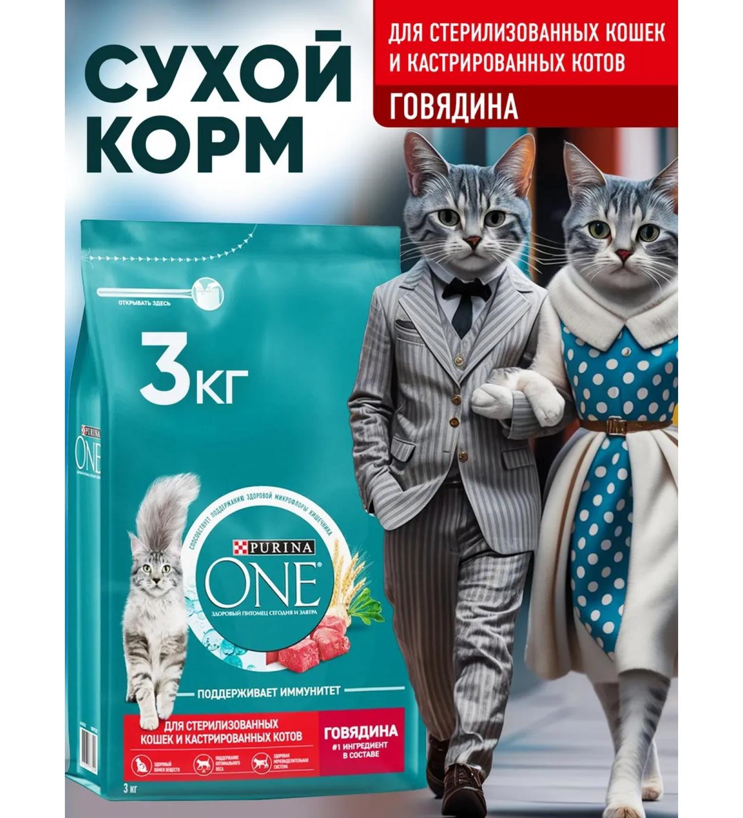 PURINA ONE Purinaone food for sterilized cats with beef 3kg - Buy Online on GoSupps.com