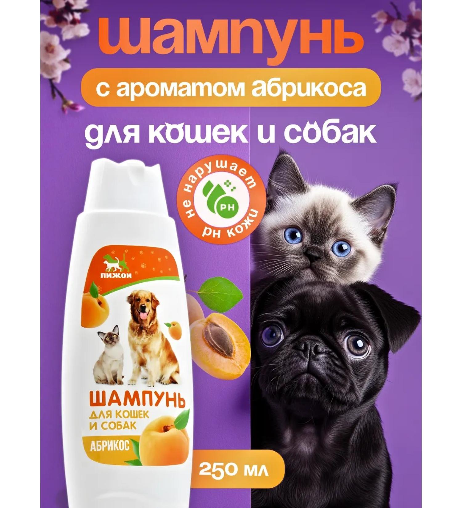 Amigos by Amato Shampoo without tears for dogs and cats with an aroma of apricot