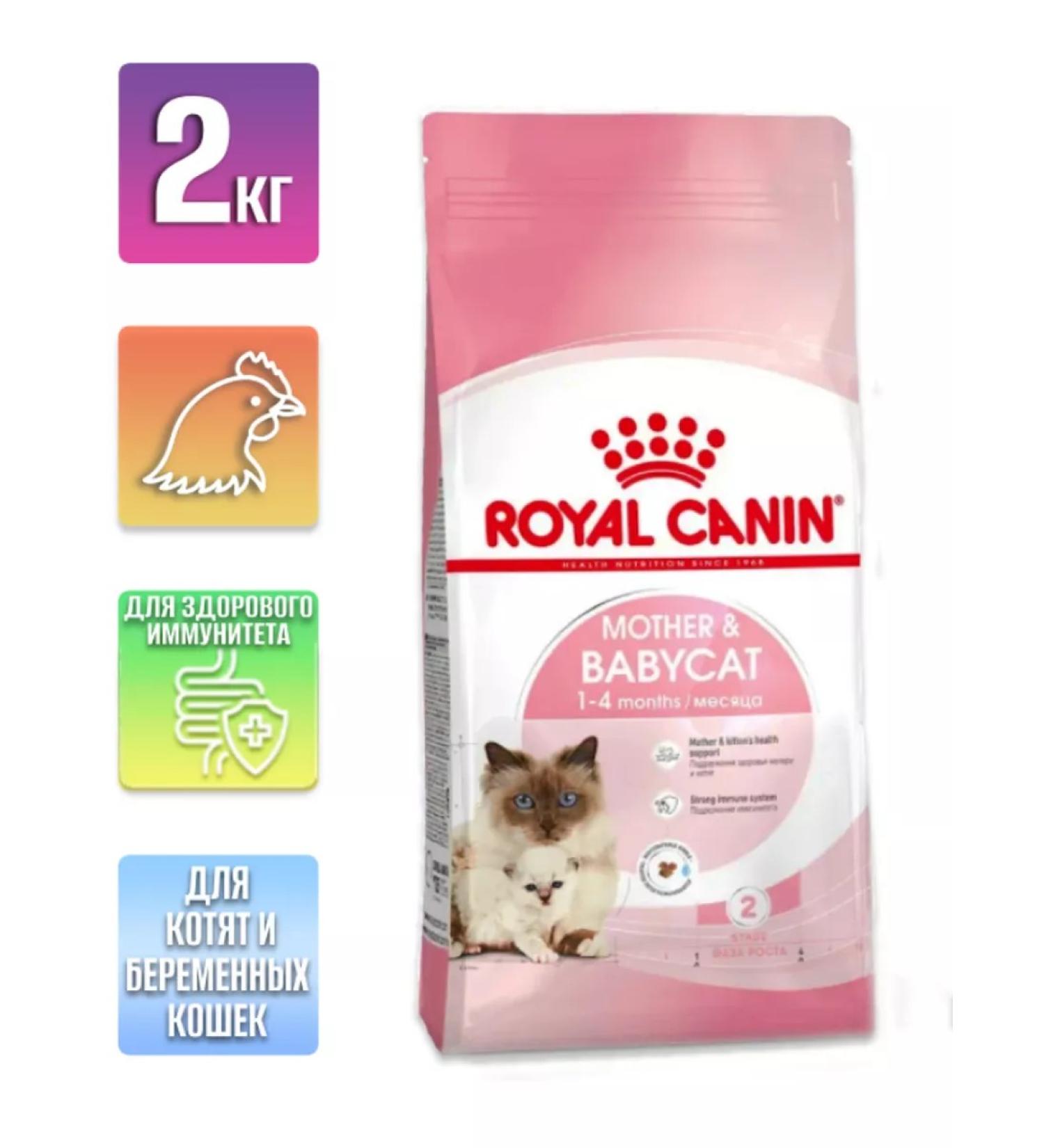 ROYAL CANIN Mother and Babycat dry kittens 2kg - Buy Online on GoSupps.com
