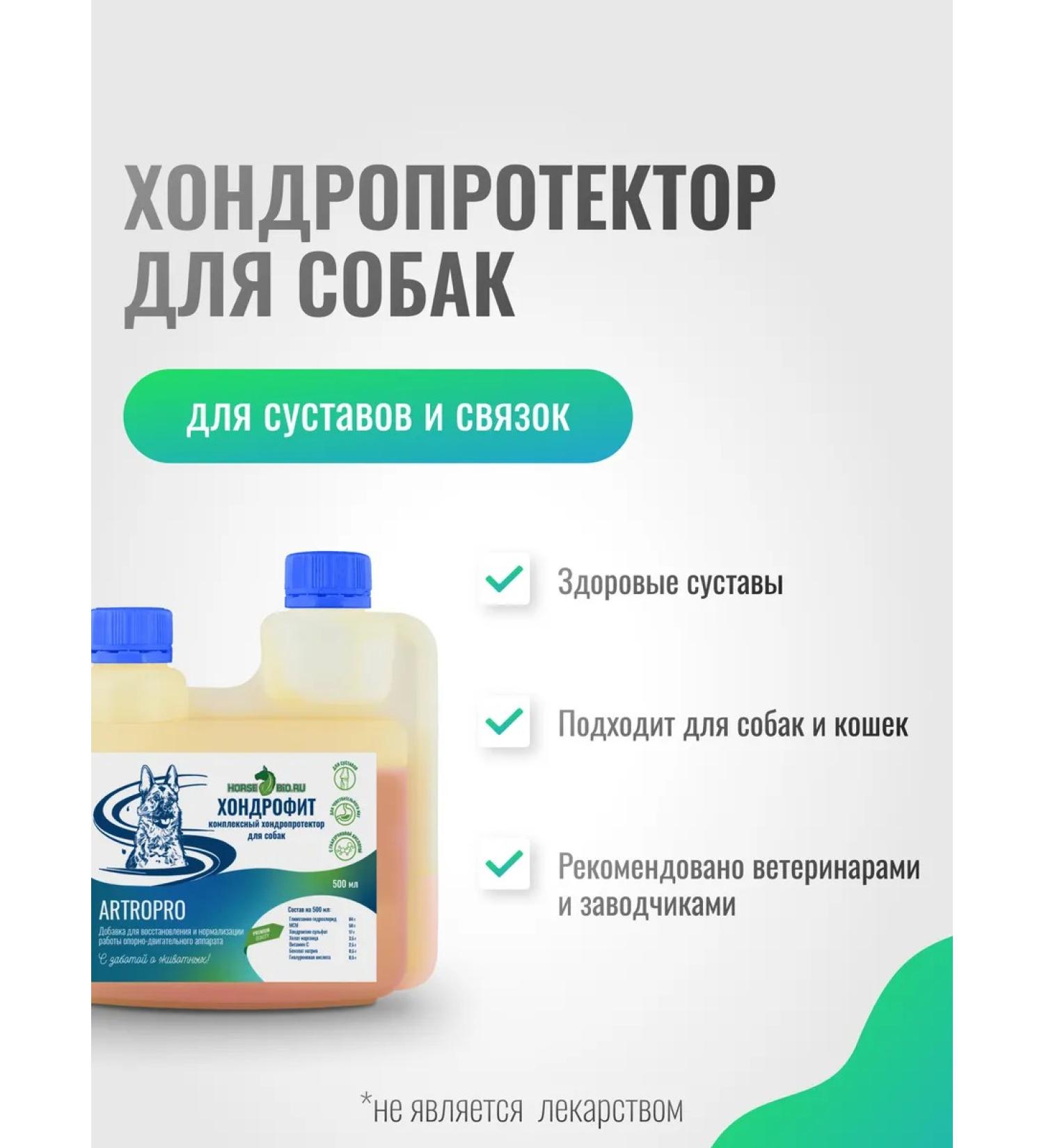 HorseBio Chondroprotector for dogs of large breeds chondroophyte 500 ml - Buy Online on GoSupps.com