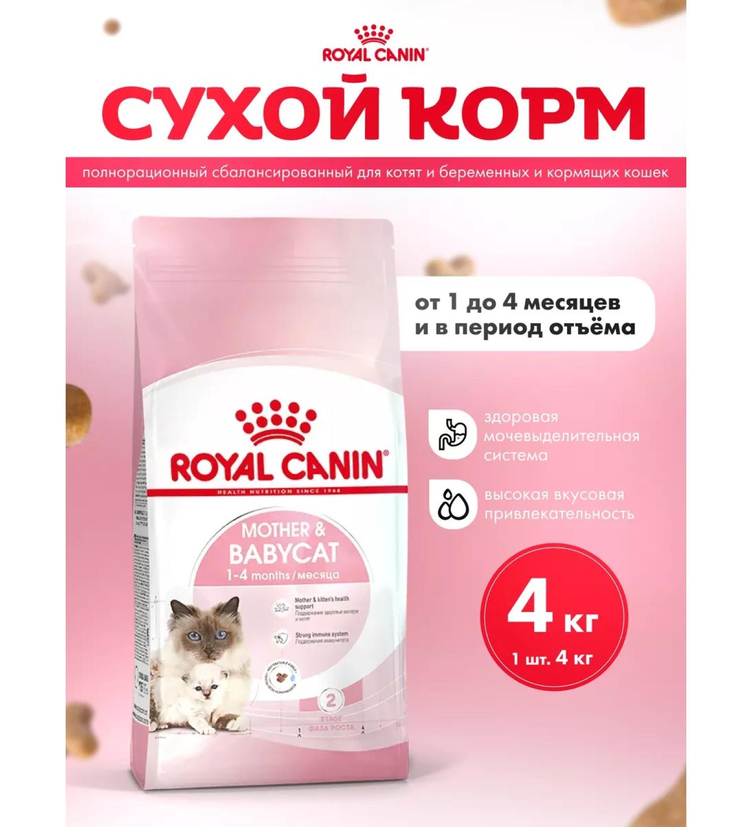 ROYAL CANIN Dry food for kittens and pregnant and nursing 4 kg - Buy Online on GoSupps.com