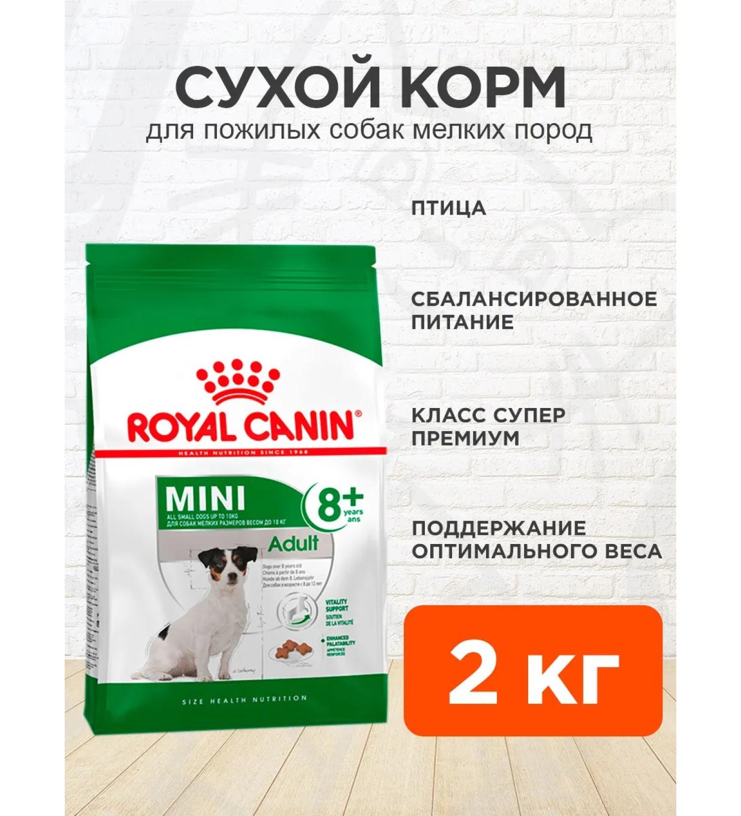 ROYAL CANIN Dog food for dry mini adult 8+ for small rocks 2 kg - Buy Online on GoSupps.com
