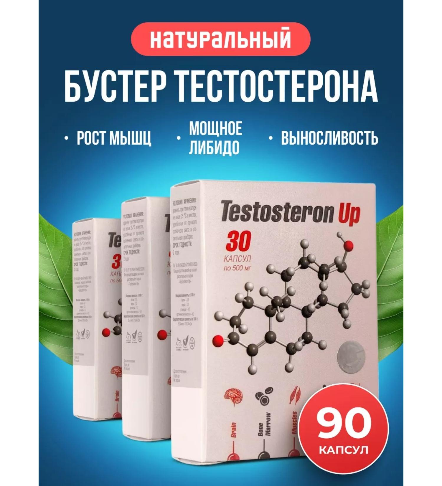 Sashera Testosteron Up. Testosterone for sports in capsules 3 pcs - Buy Online on GoSupps.com