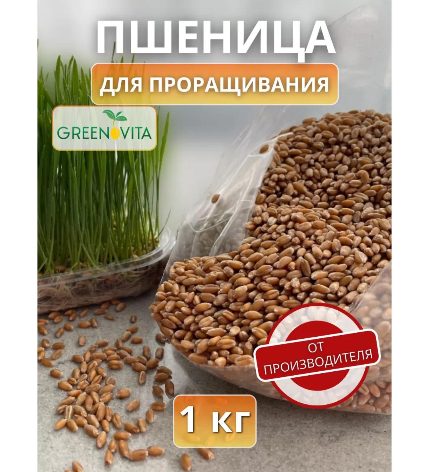GREENOVITA Wheat for germination 1 kg - Buy Online on GoSupps.com