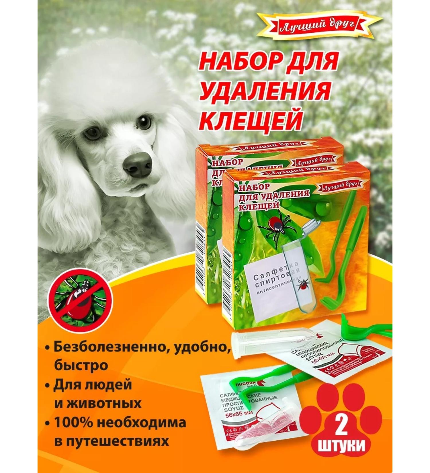 Best friend Tick twist a set of 2 pieces - Buy Online on GoSupps.com