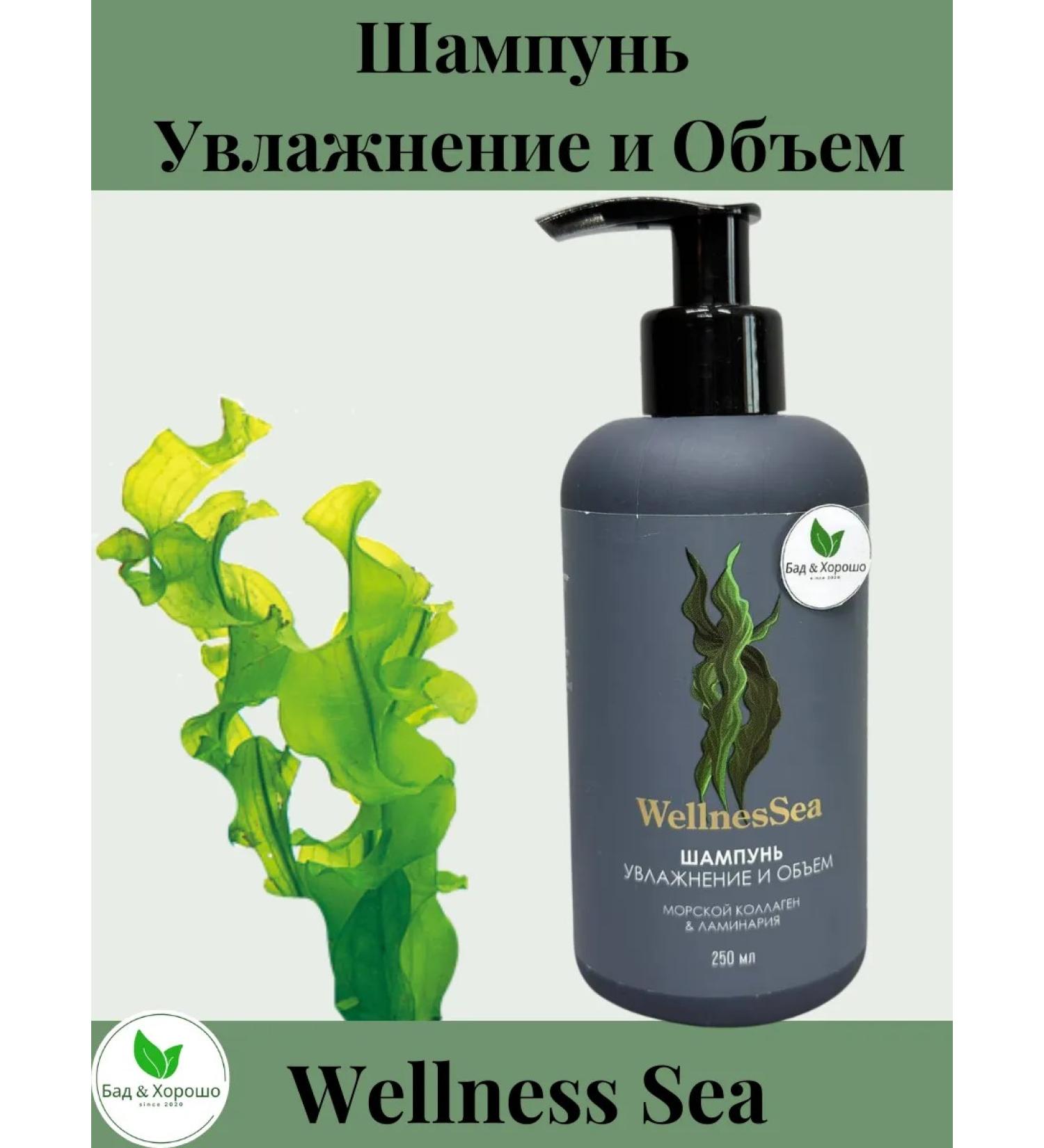 Health from Siberia Shampoo (moisturizing and volume) - Wellness Sea - Buy Online on GoSupps.com