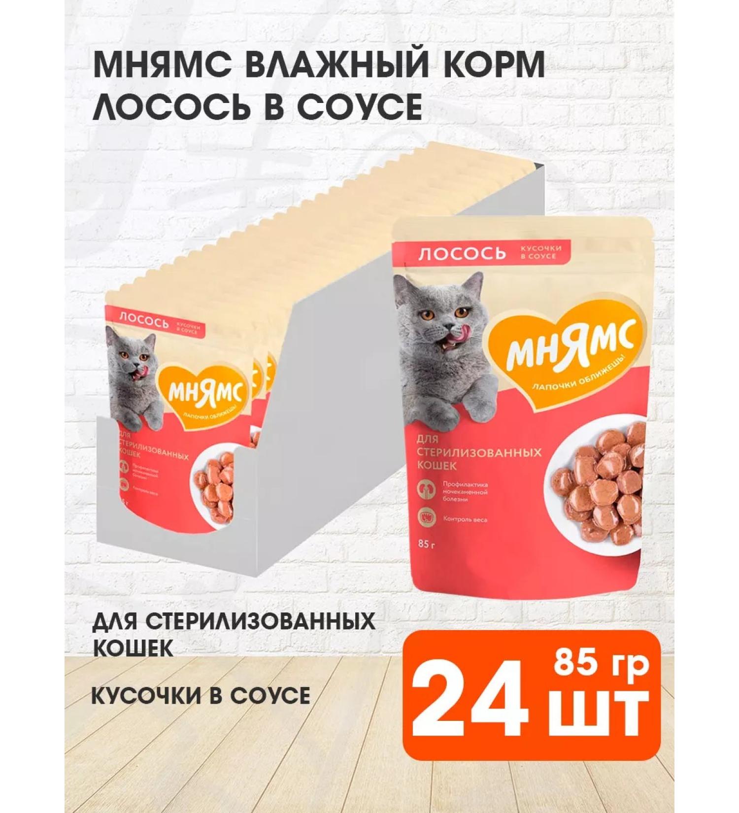 Mnyams Wet feed for sterilized salmon 85 g 24 pcs - Buy Online on GoSupps.com