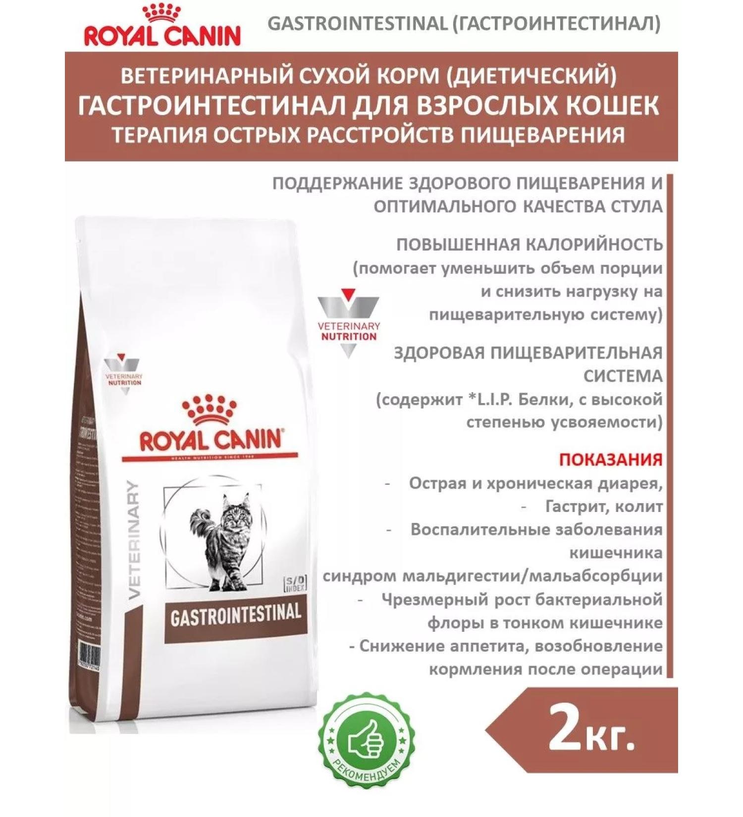 ROYAL CANIN Cat food for dry gastroinsal GastroinTestinal 2kg - Buy Online on GoSupps.com