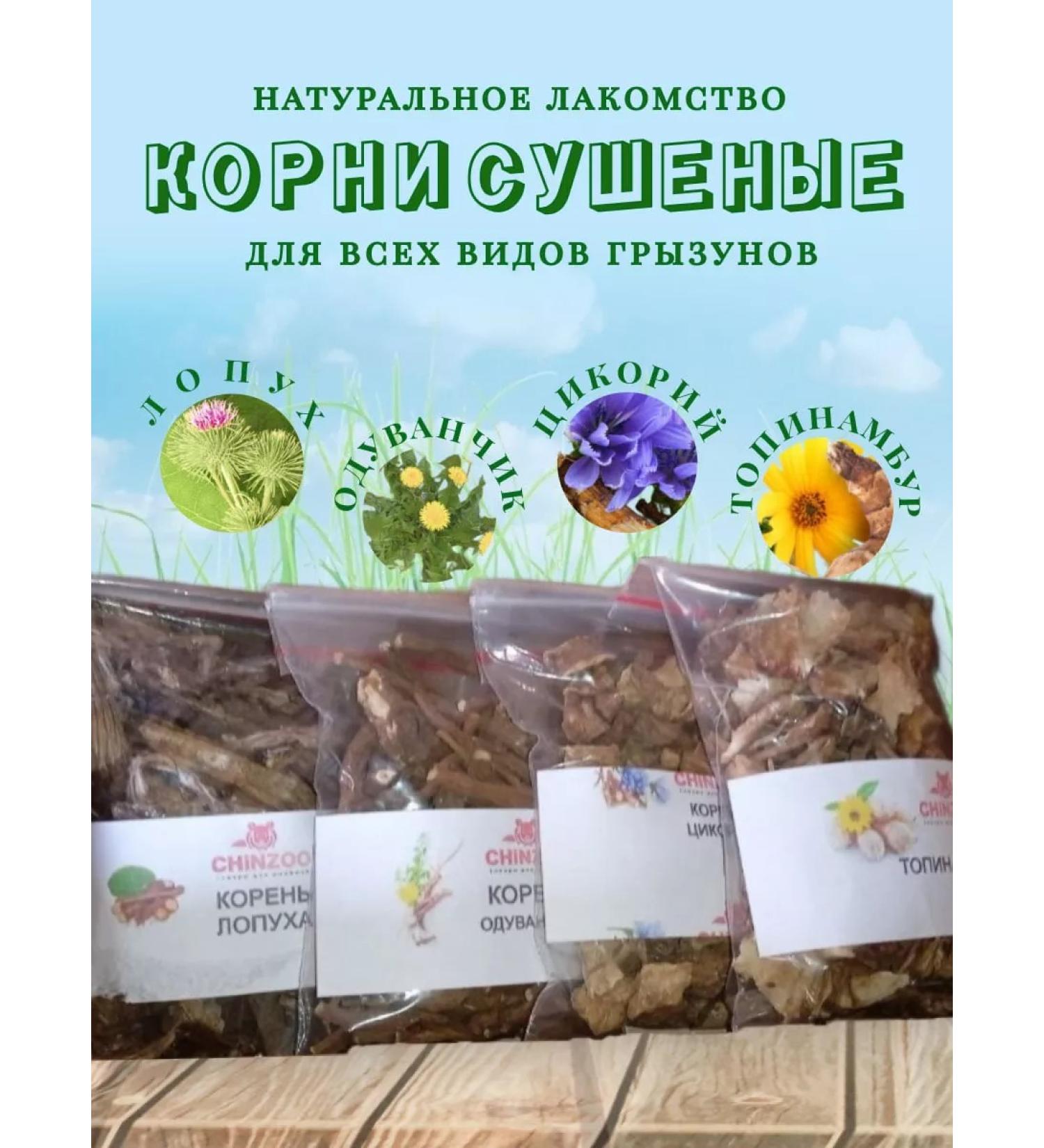 ChinZoo Taster No. 4 for chinchillas - Buy Online on GoSupps.com