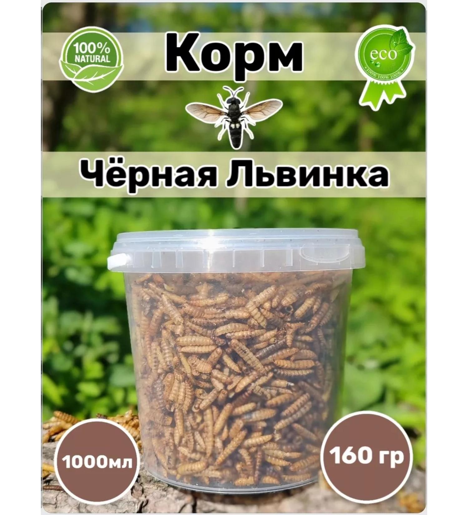 Farmyard Black Lion Carnet for hamsters and rats - Buy Online on GoSupps.com