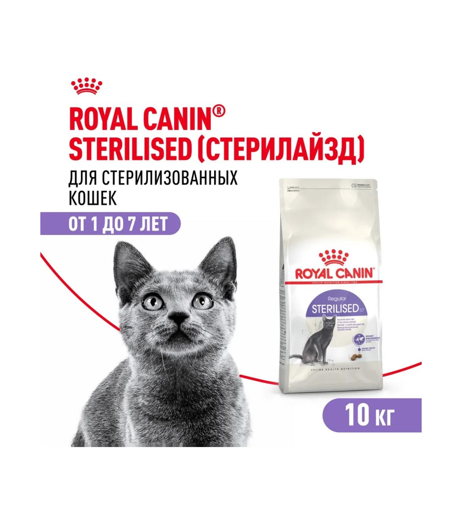 ROYAL CANIN Feed Royal Kanin Sterilizhe 37 10 kg - Buy Online on GoSupps.com