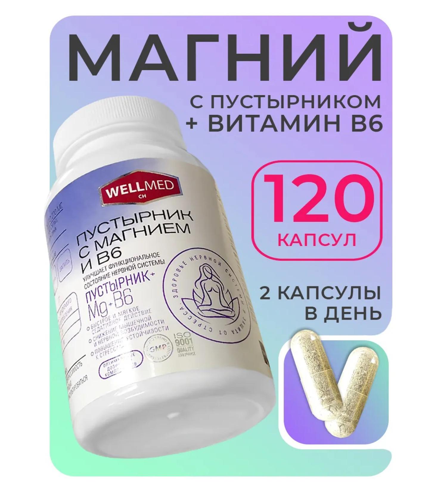 WELLMED CH Magnesium B6 with a motherwort for adults No. 120 dietary supplement from stress - Buy Online on GoSupps.com